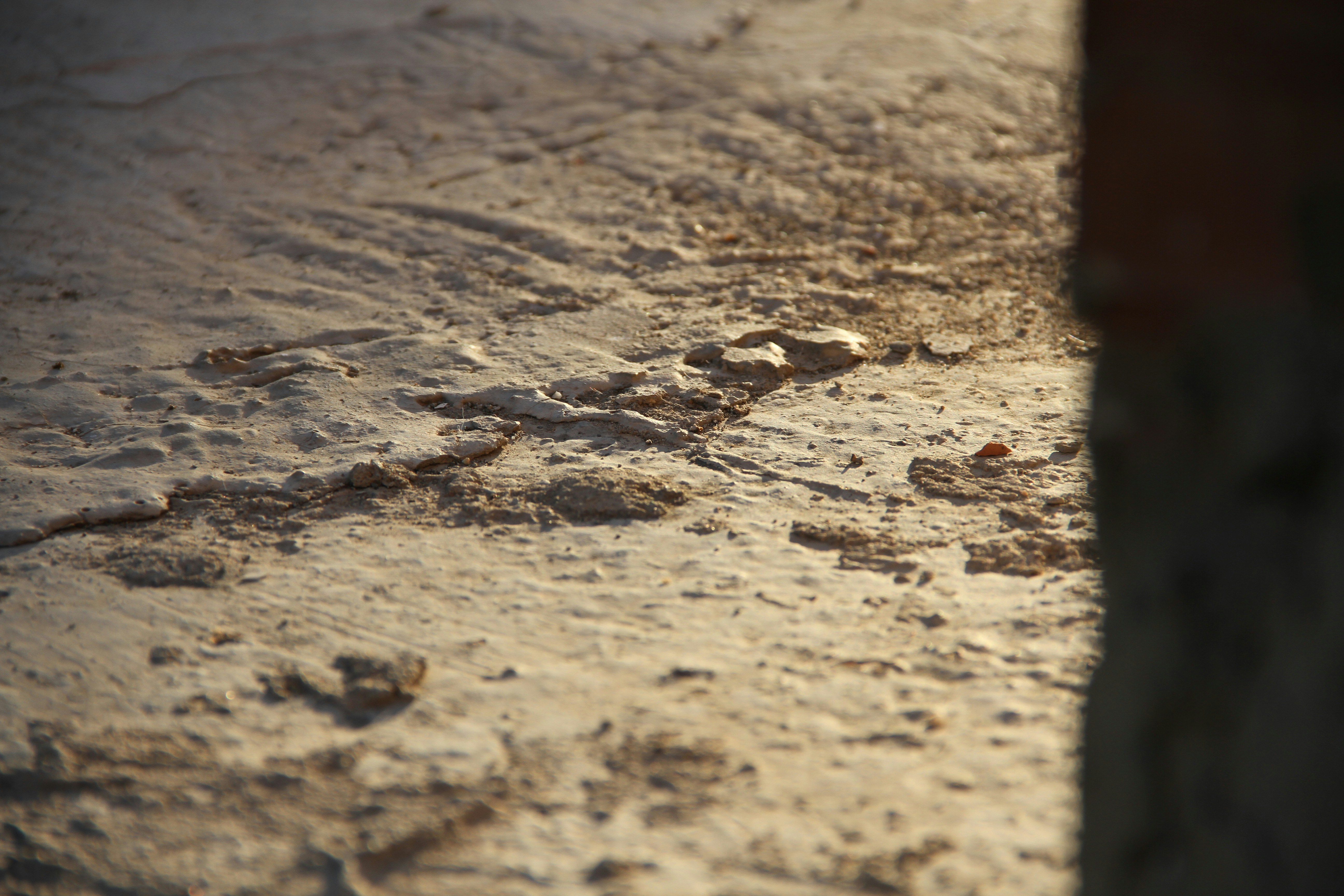 Photo by eosphotography