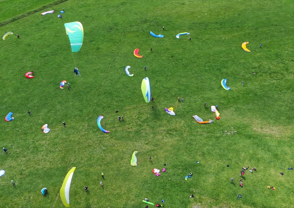 a group of people flying kites