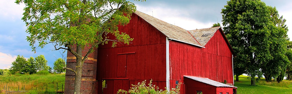 a barn with a tree in the front