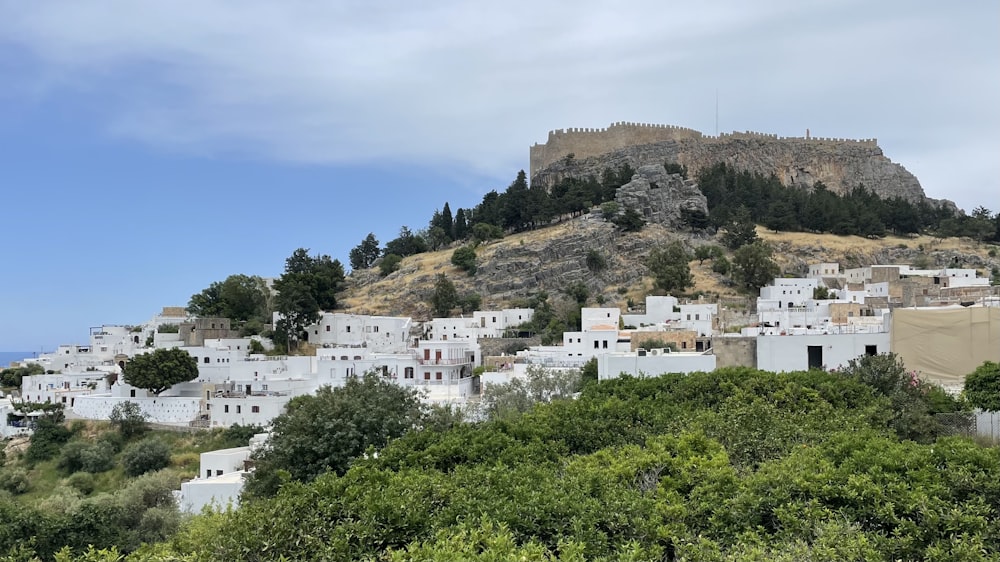 a hillside with white buildings and trees