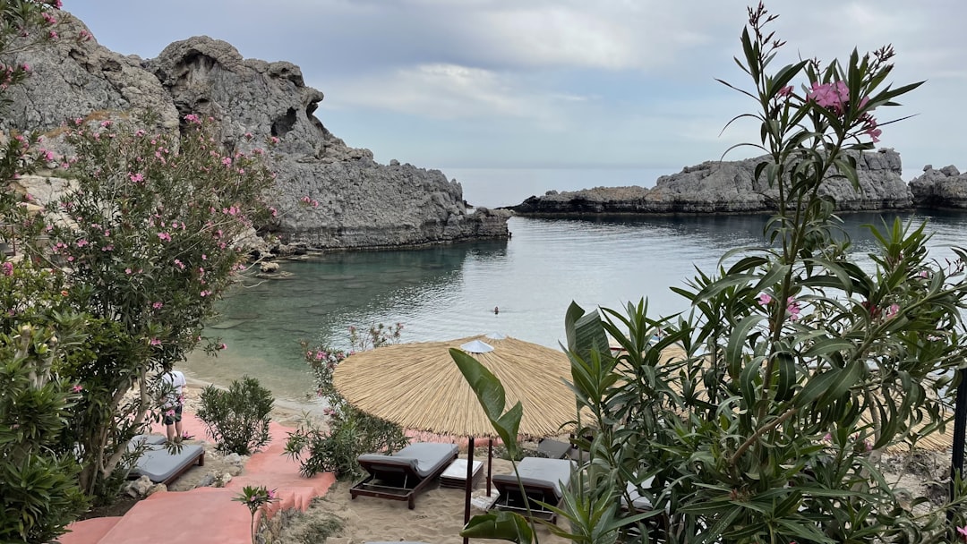a beach with a body of water,
