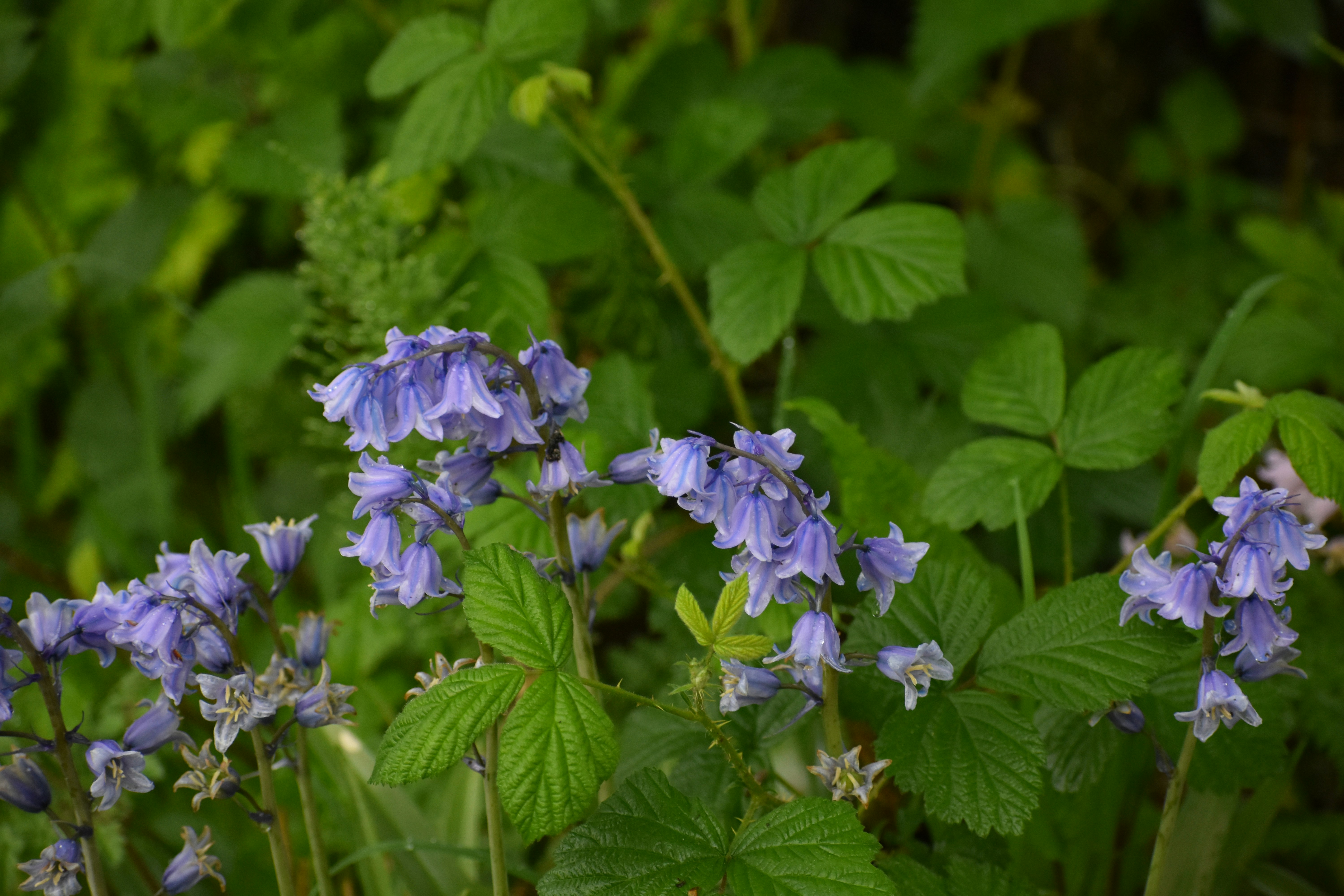 Photo by andrew_hall