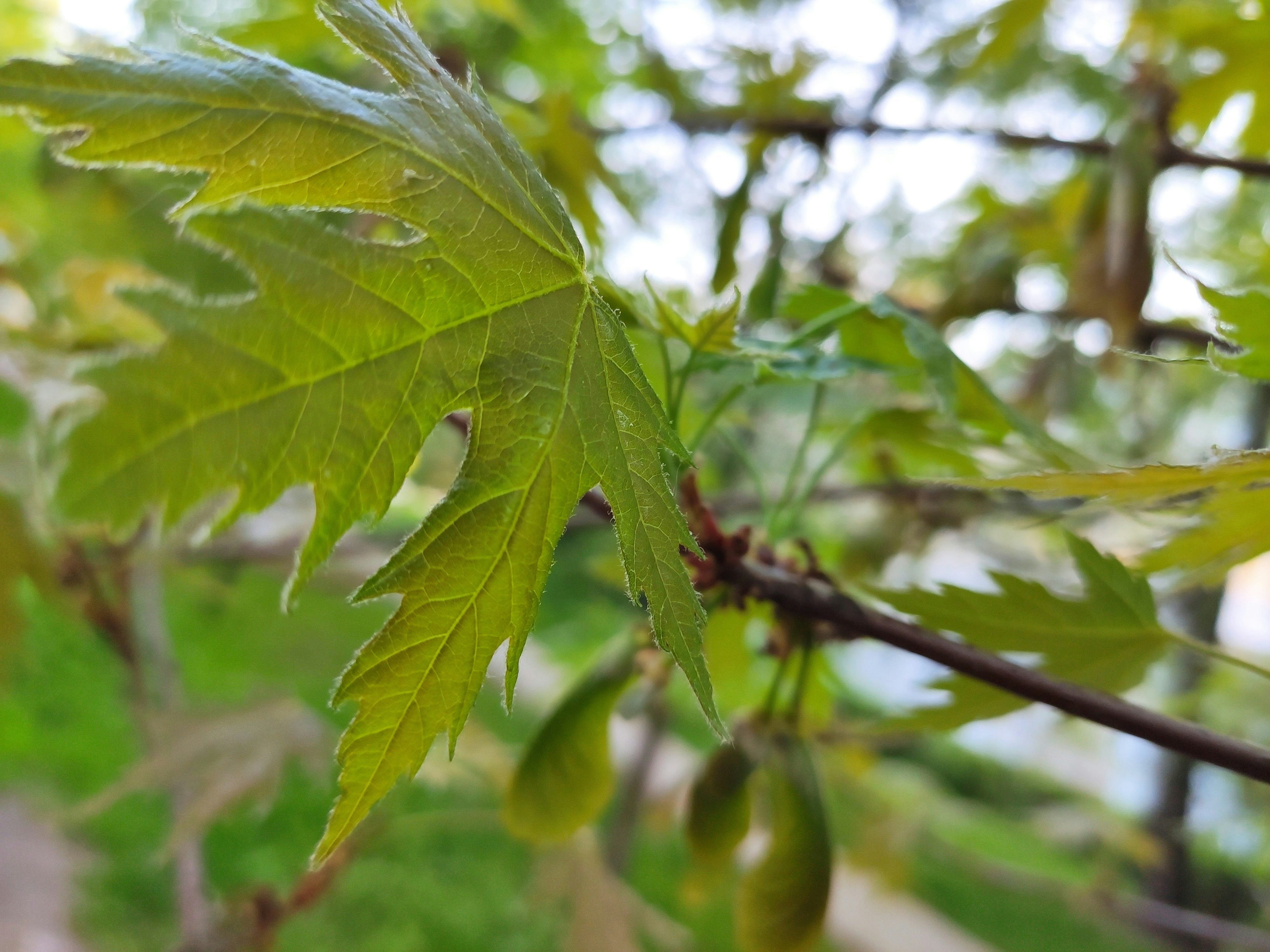 Photo by kate_h_travel