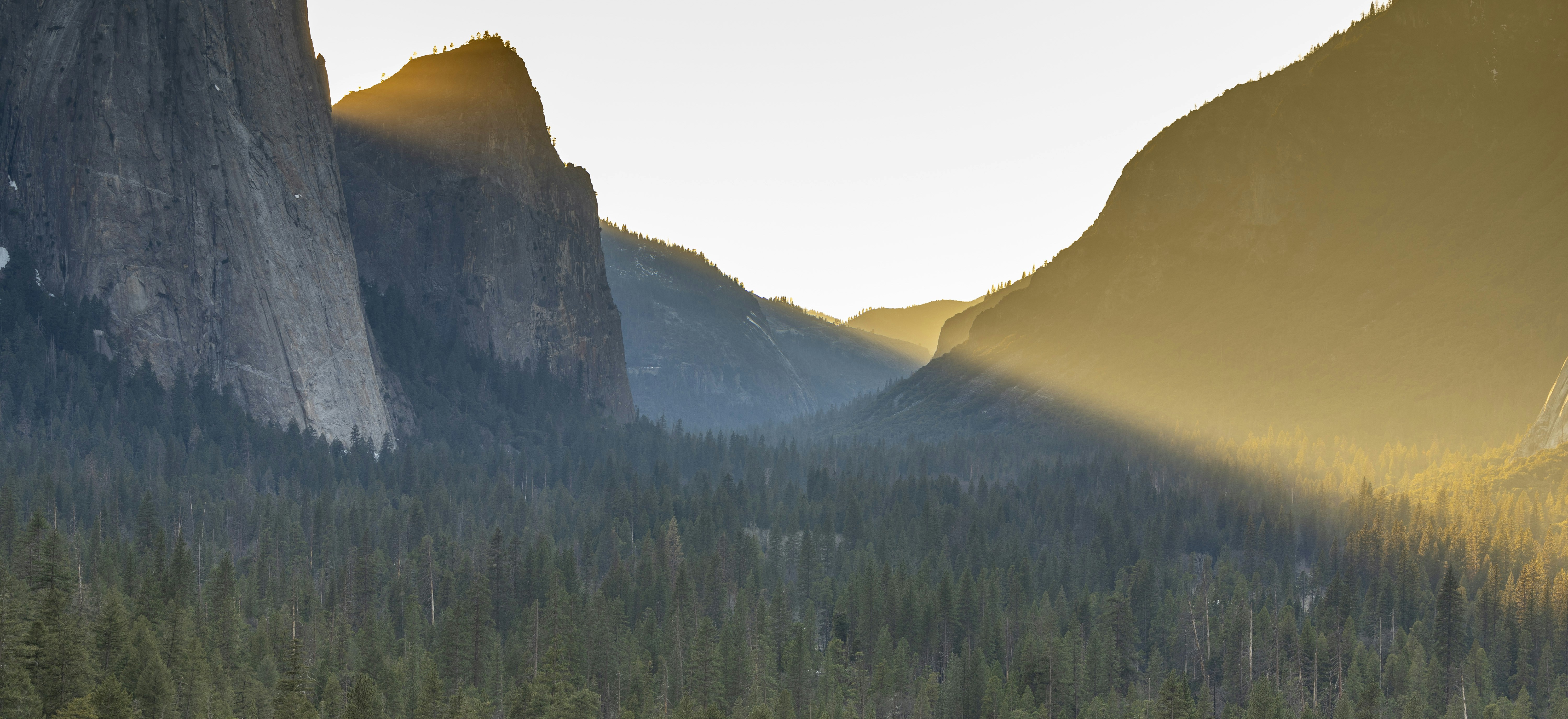 Photo by leo_visions_