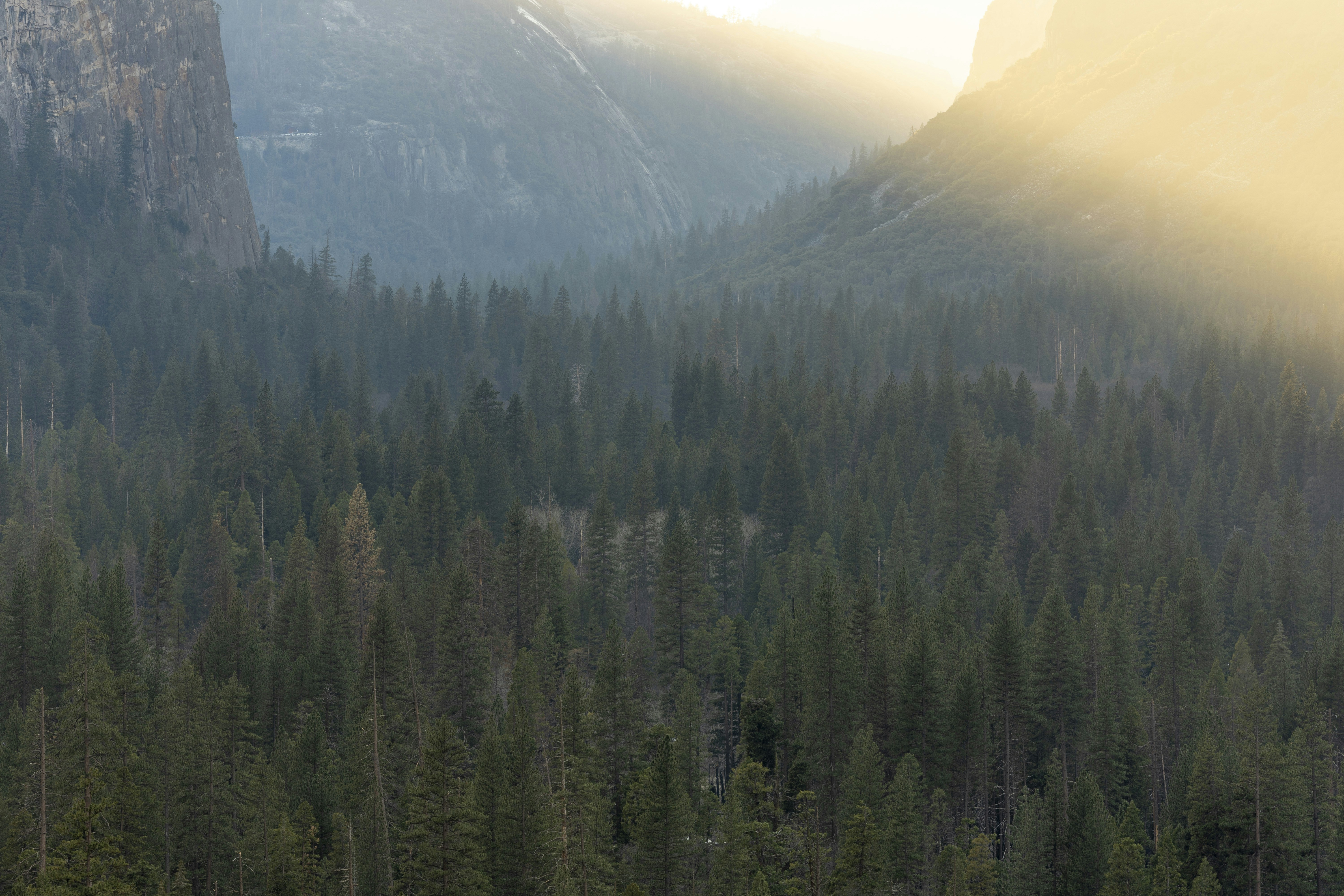 Photo by leo_visions_