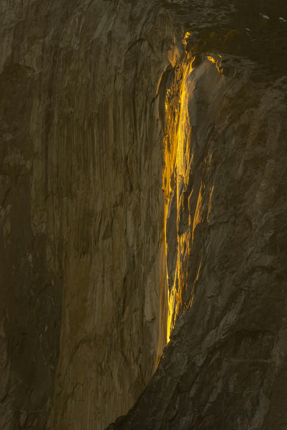 a close-up of a rock