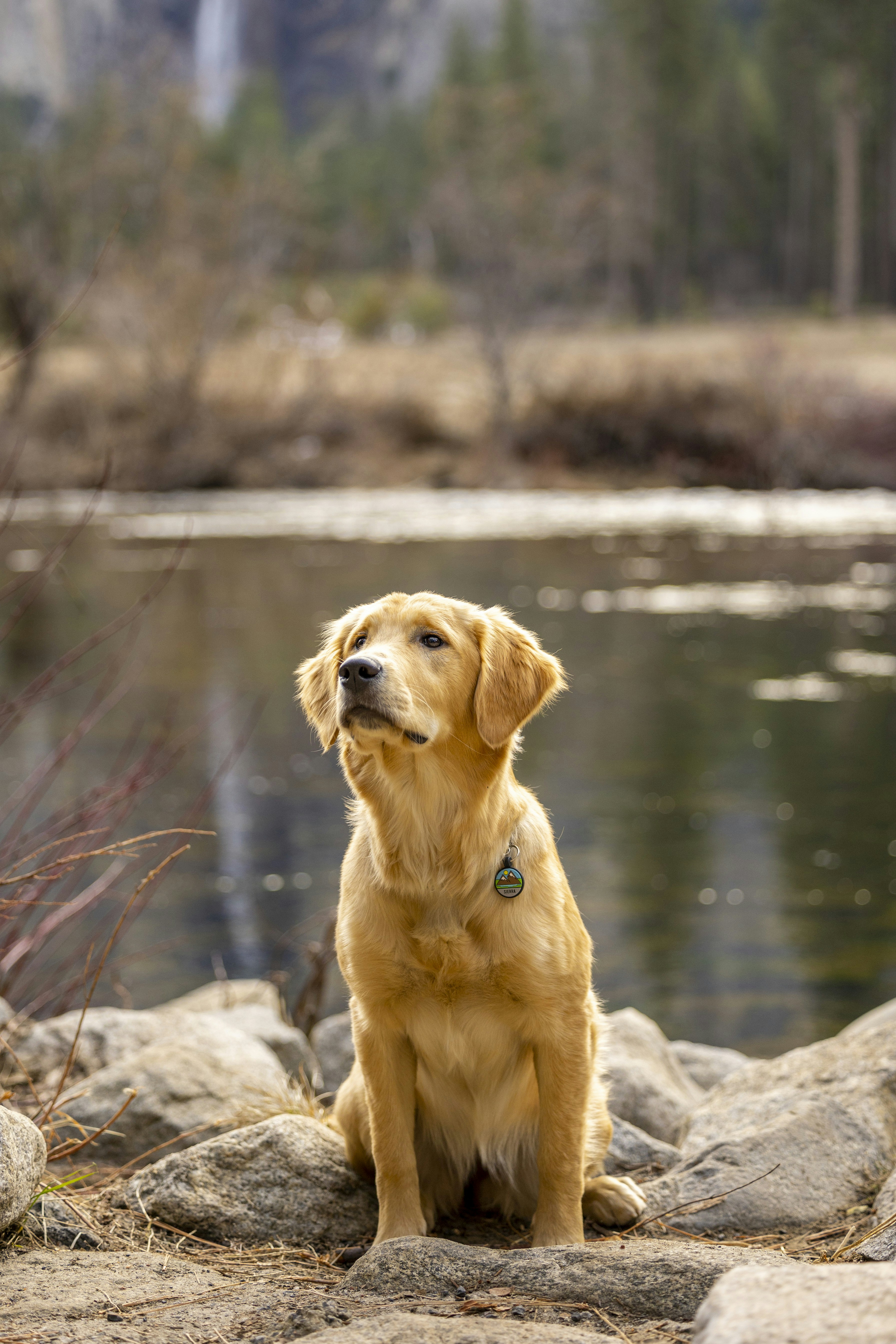 Photo by leo_visions_