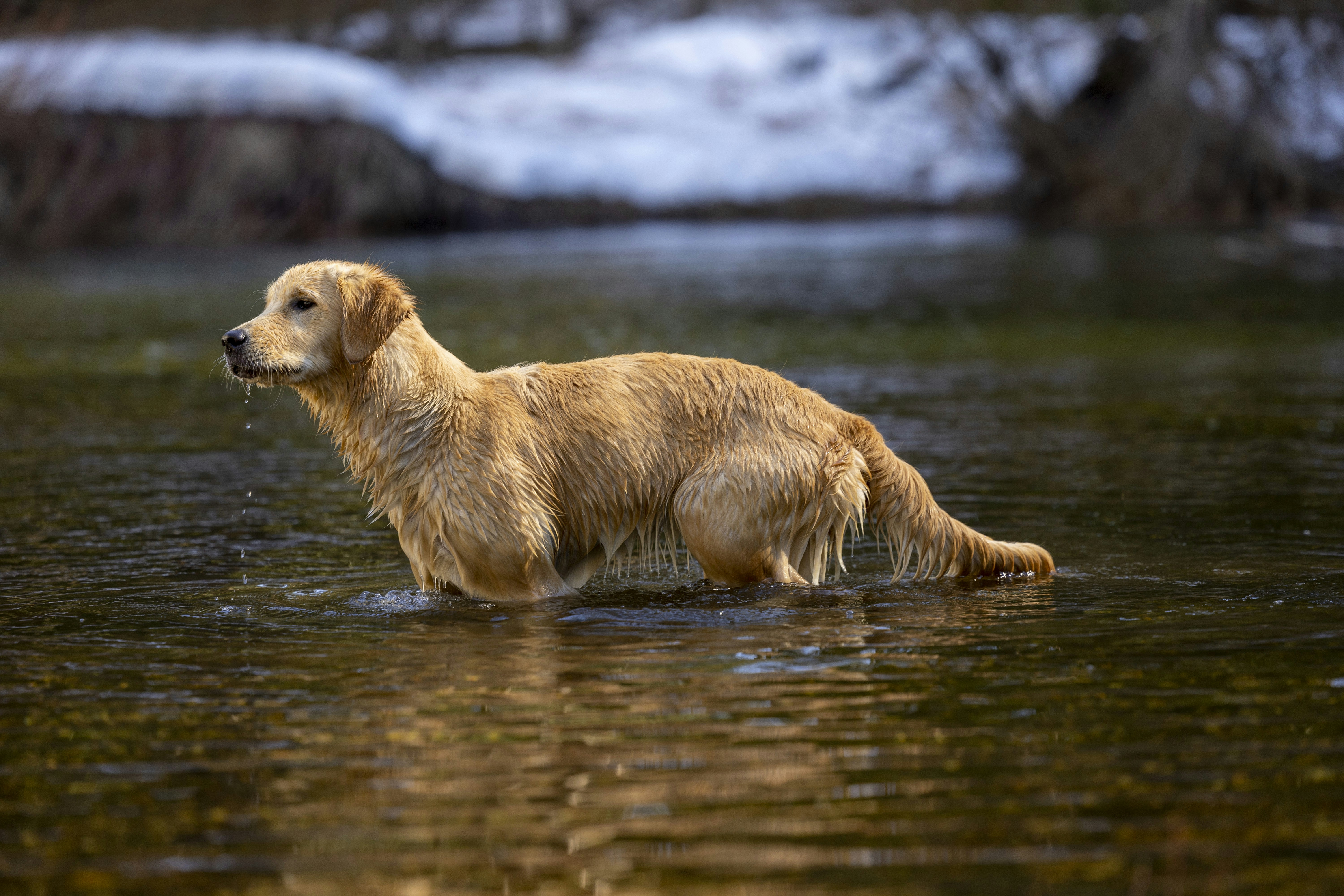 Photo by leo_visions_