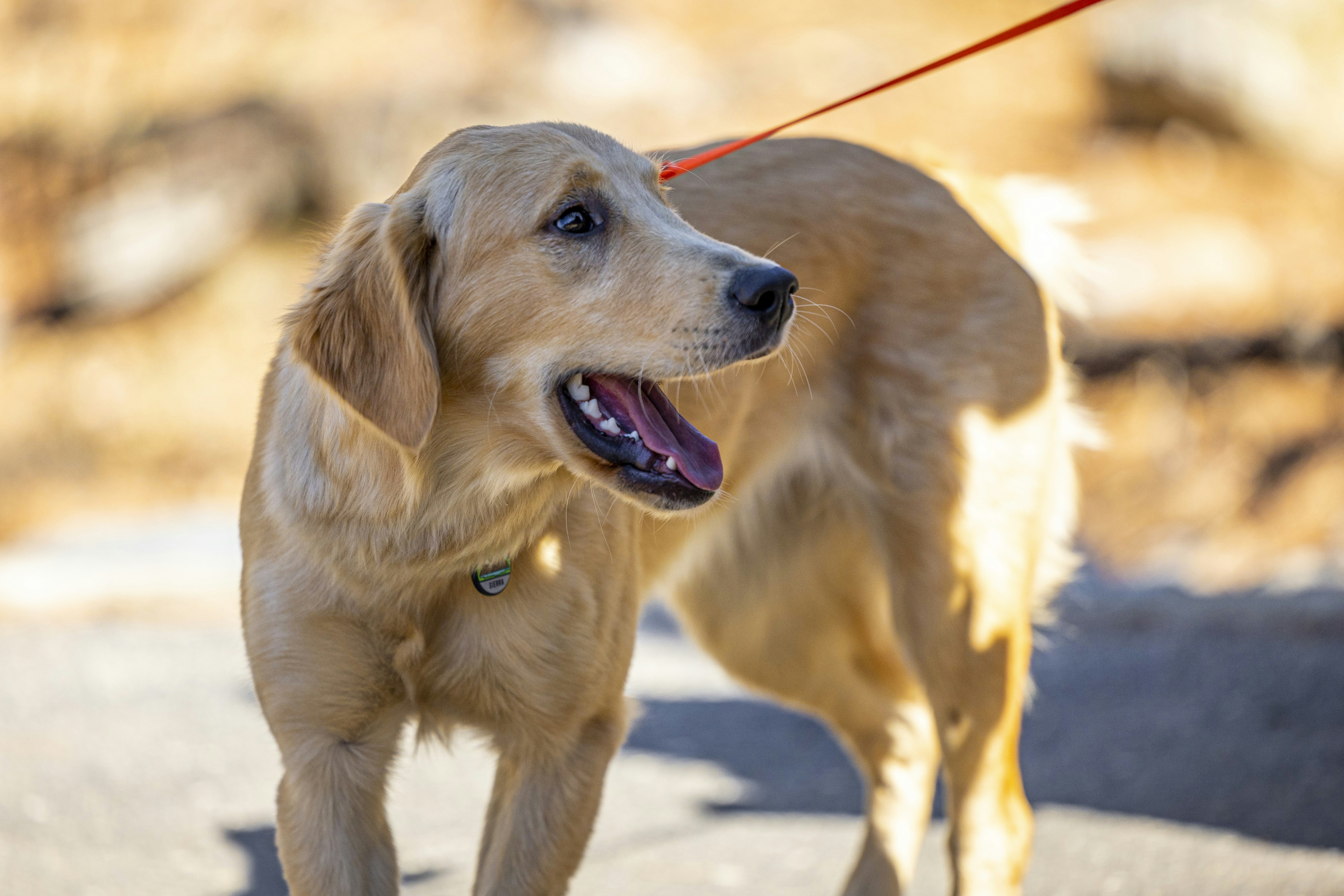 Photo by leo_visions_