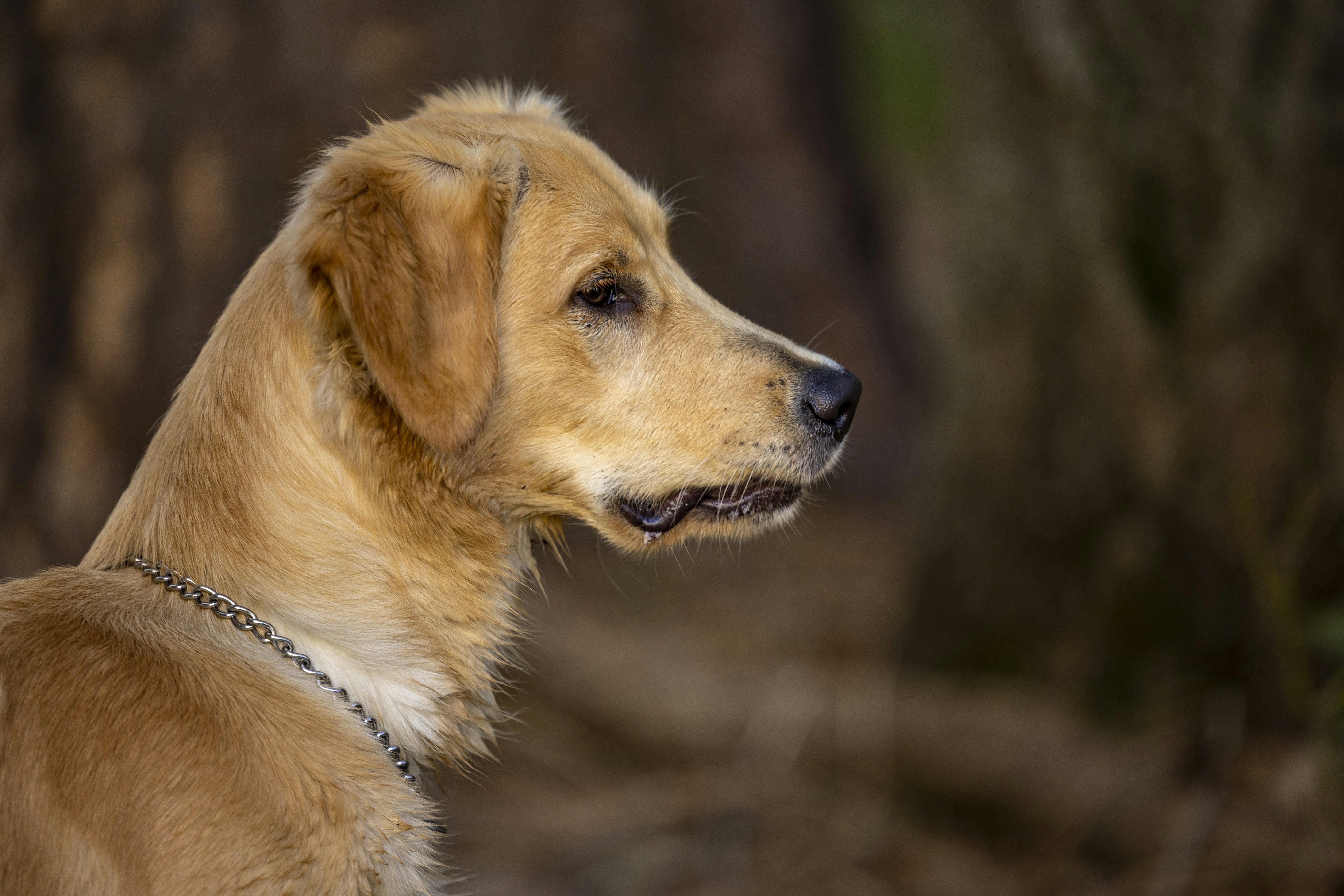 Photo by leo_visions_