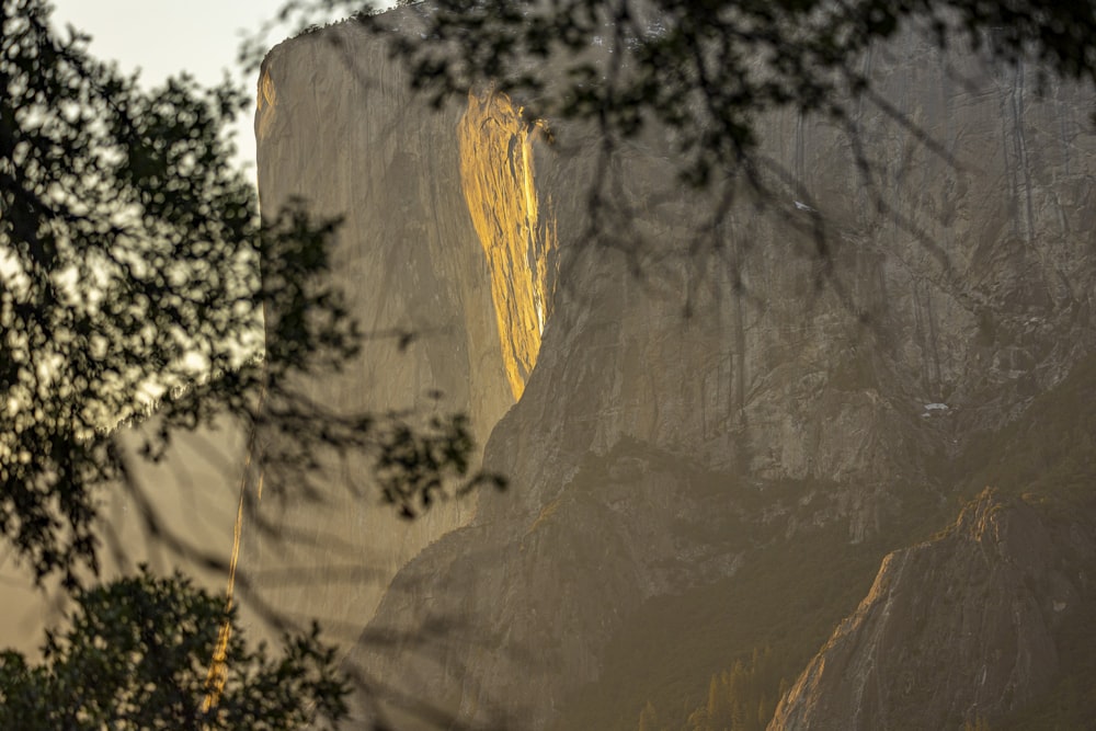 a large rock with a yellow substance