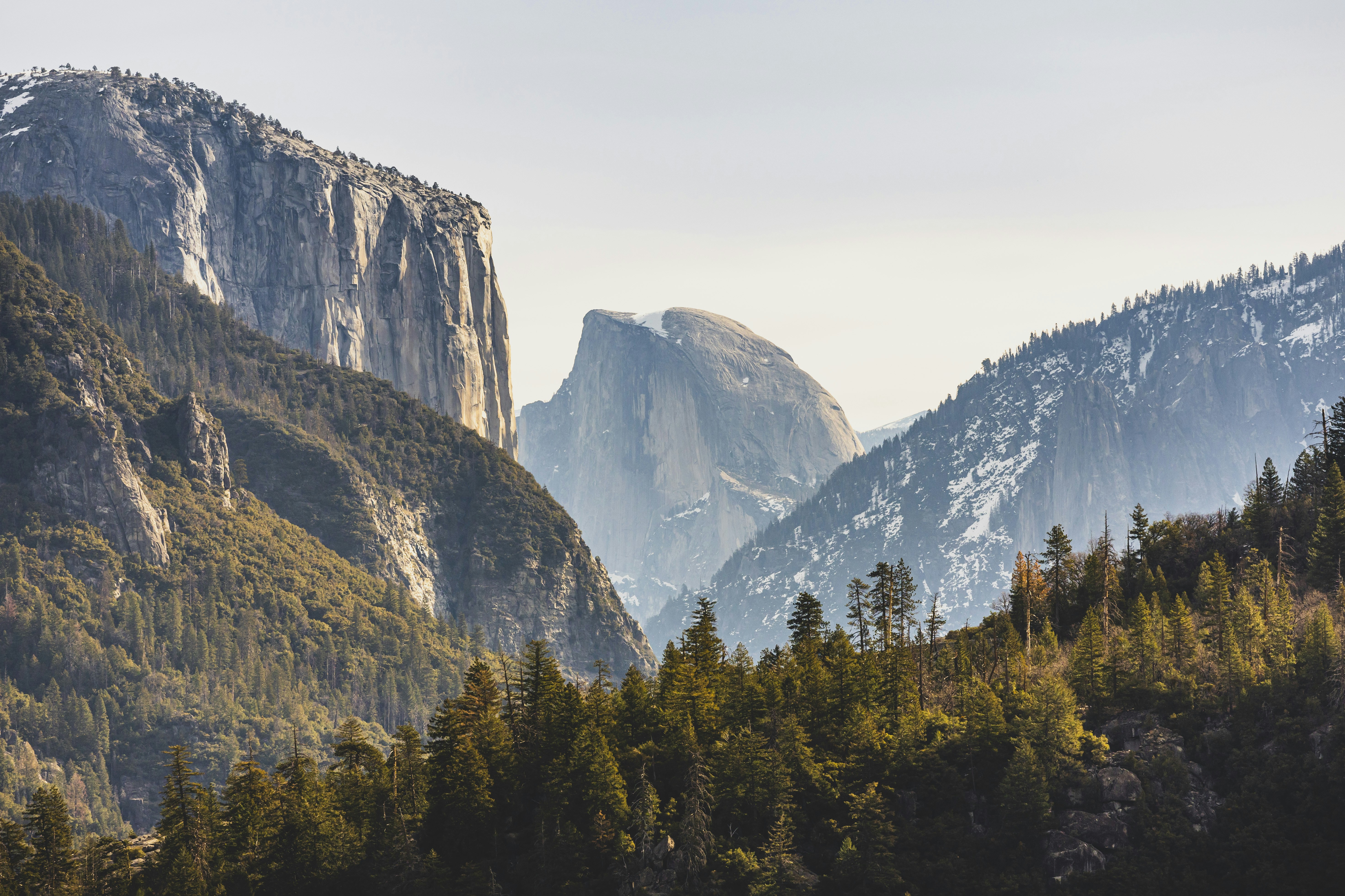 Photo by leo_visions_