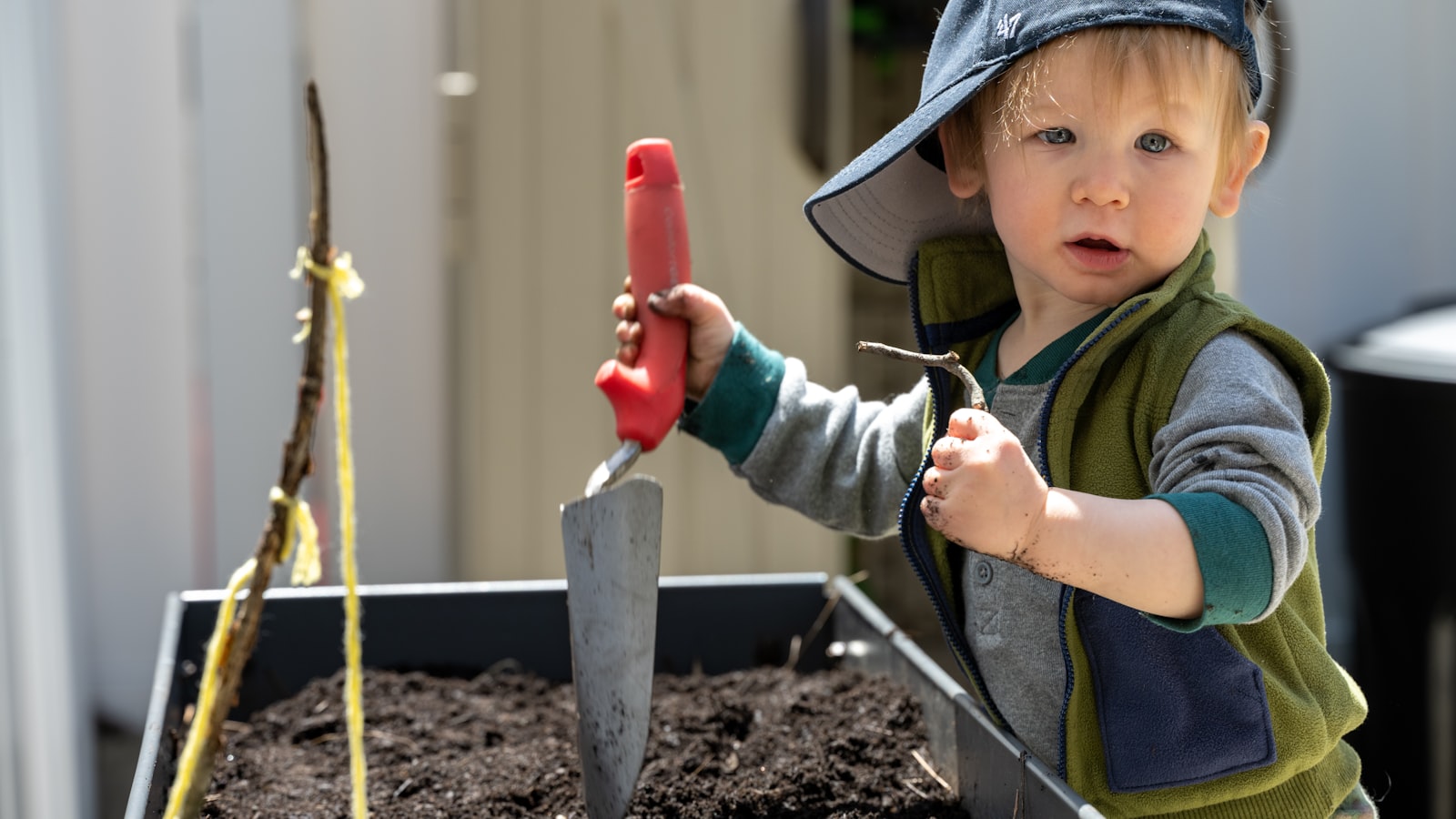 Best Practices for Planting Bulbs in Oregon's Unique Climate