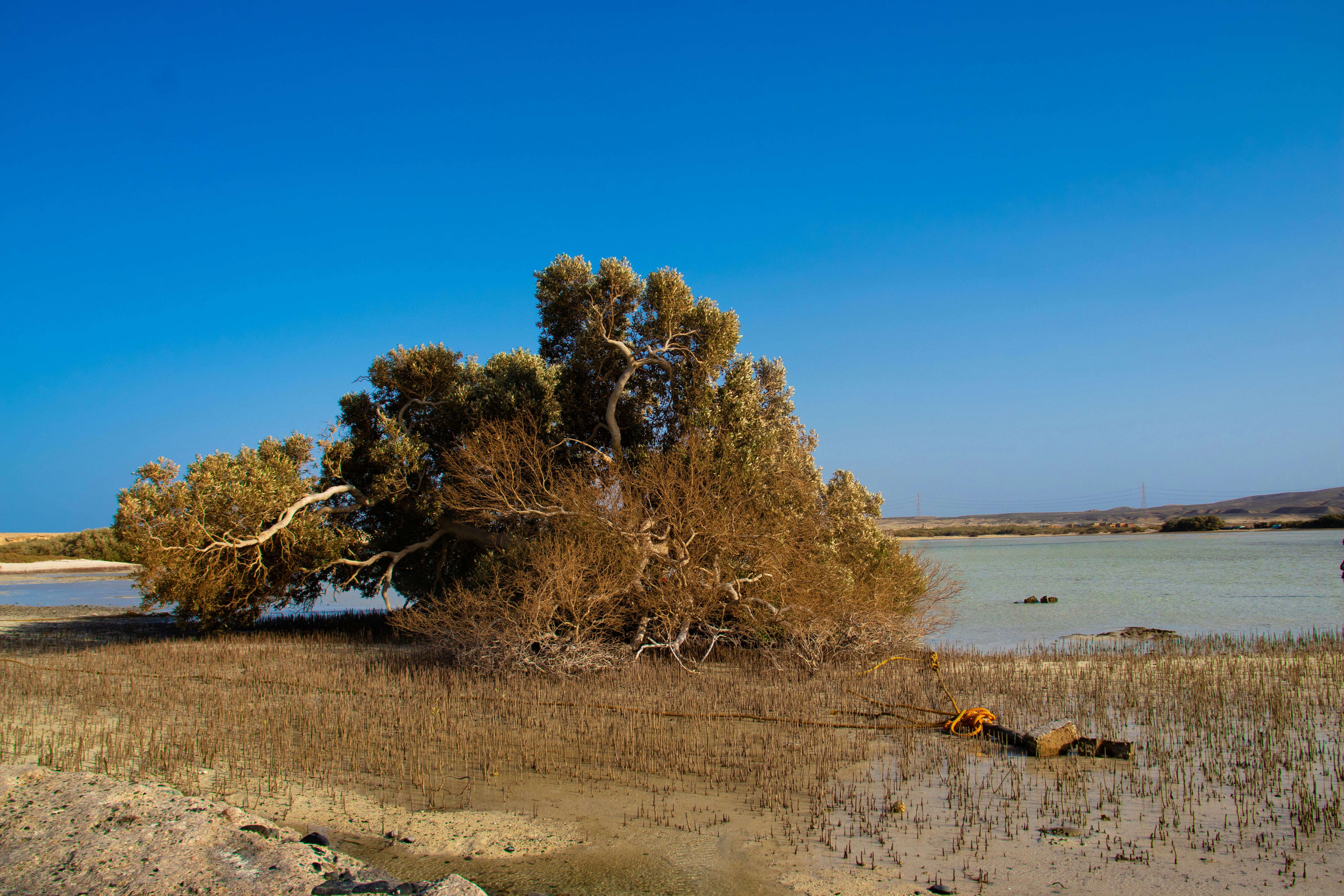 Photo by naiftharwat