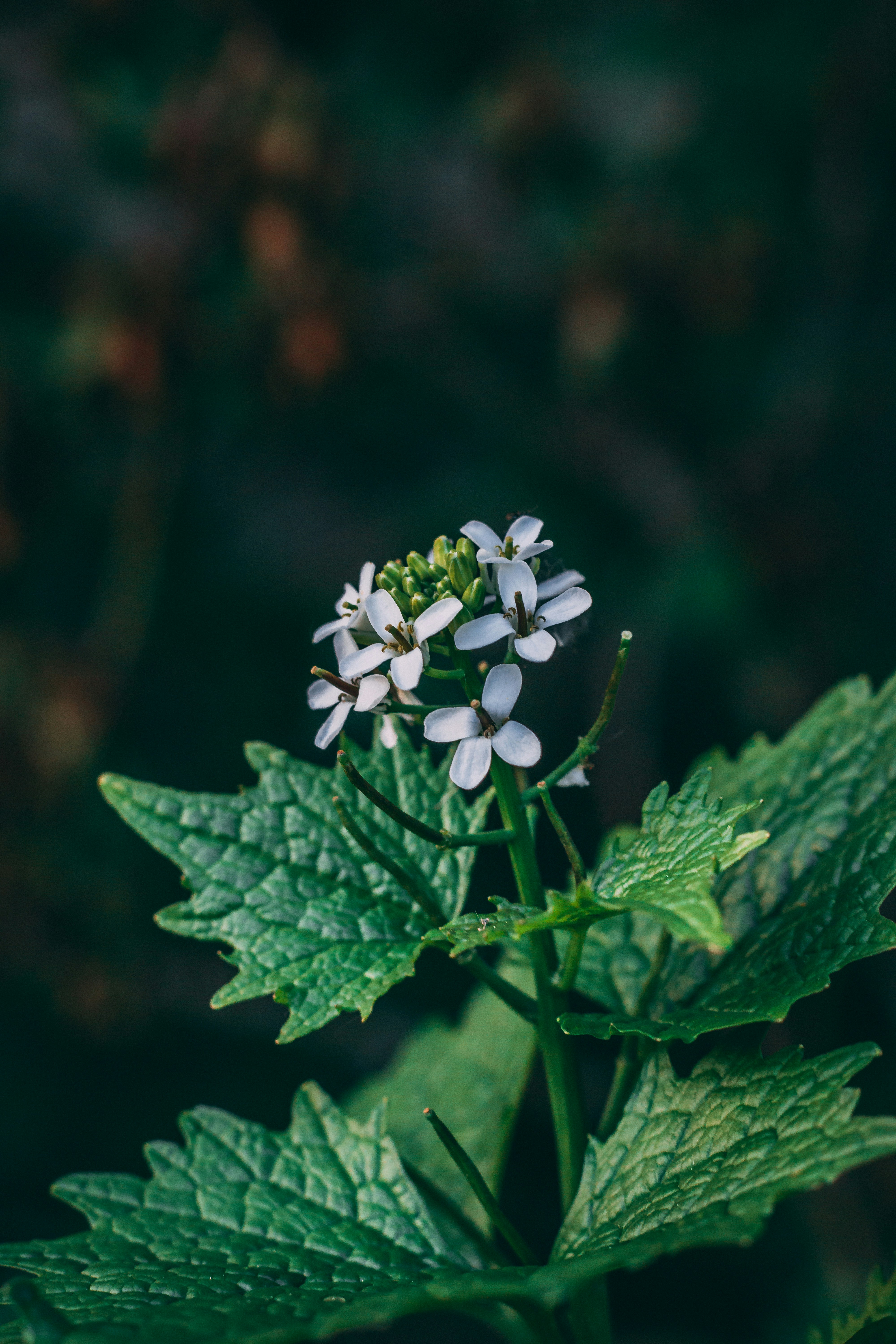 Photo by ewanphotography