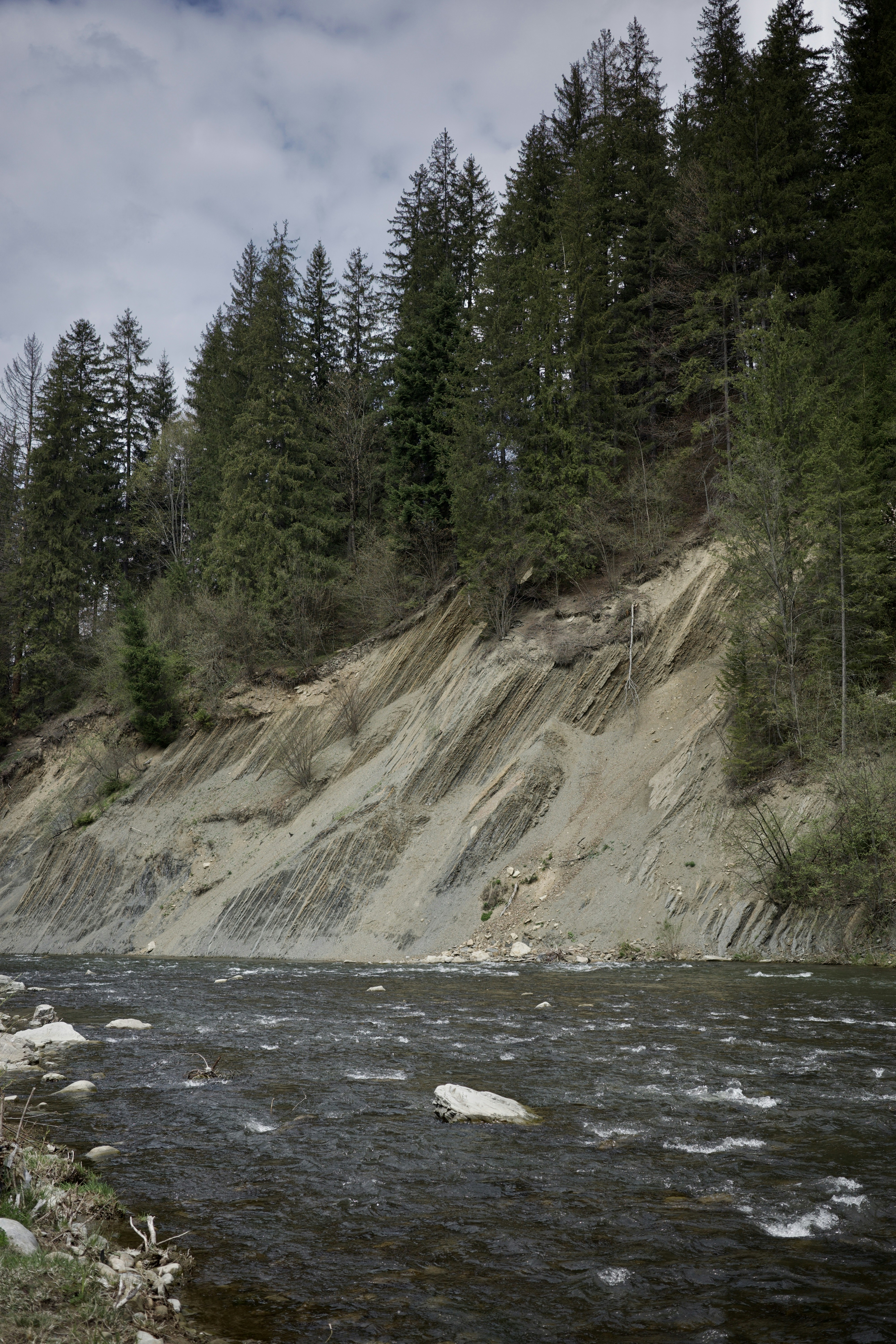 Une rivière avec des arbres sur le côté