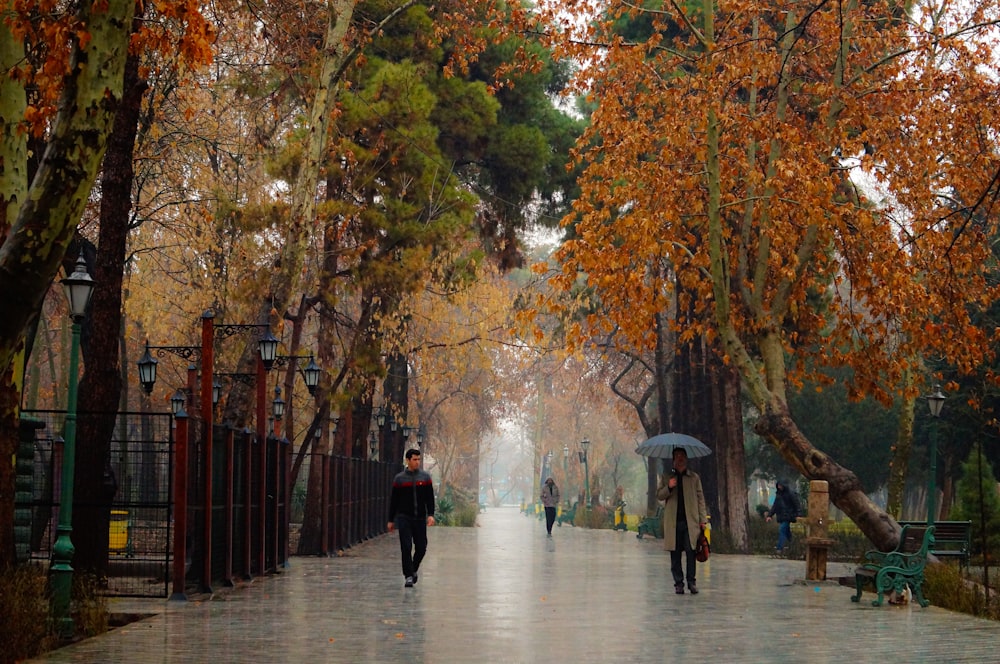 people walking down a sidewalk with umbrellas