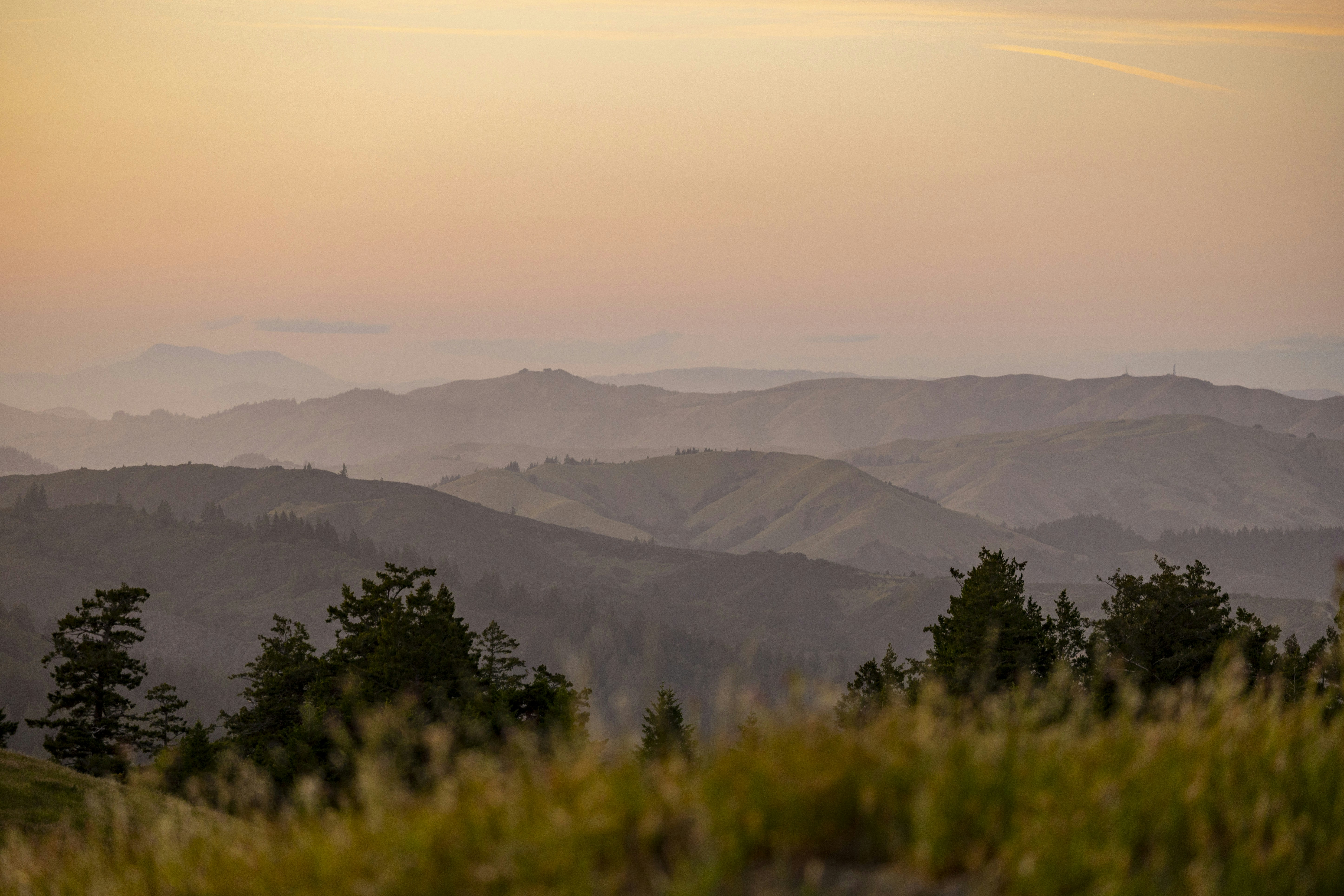 Photo by leo_visions_