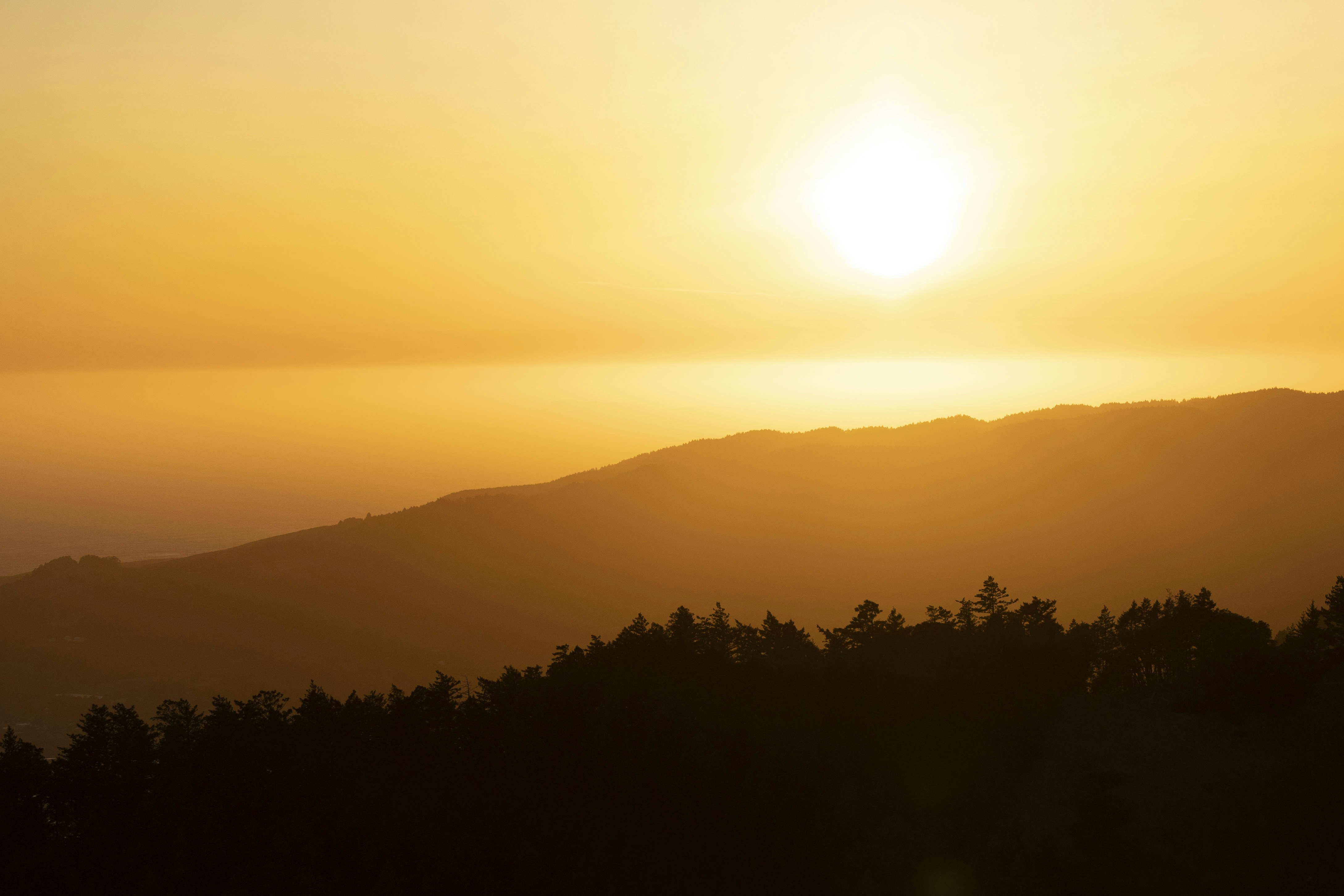 Photo by leo_visions_