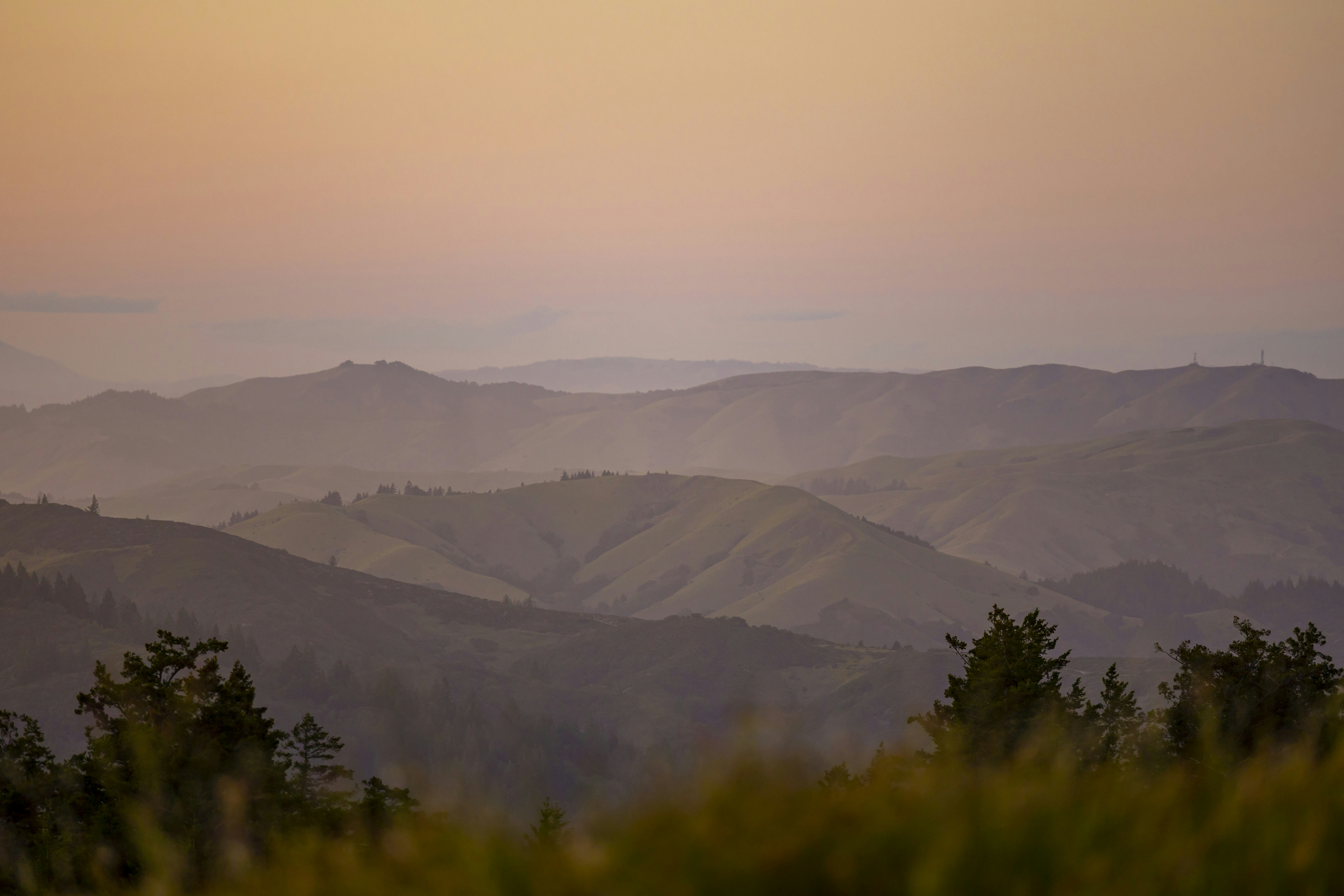 Photo by leo_visions_