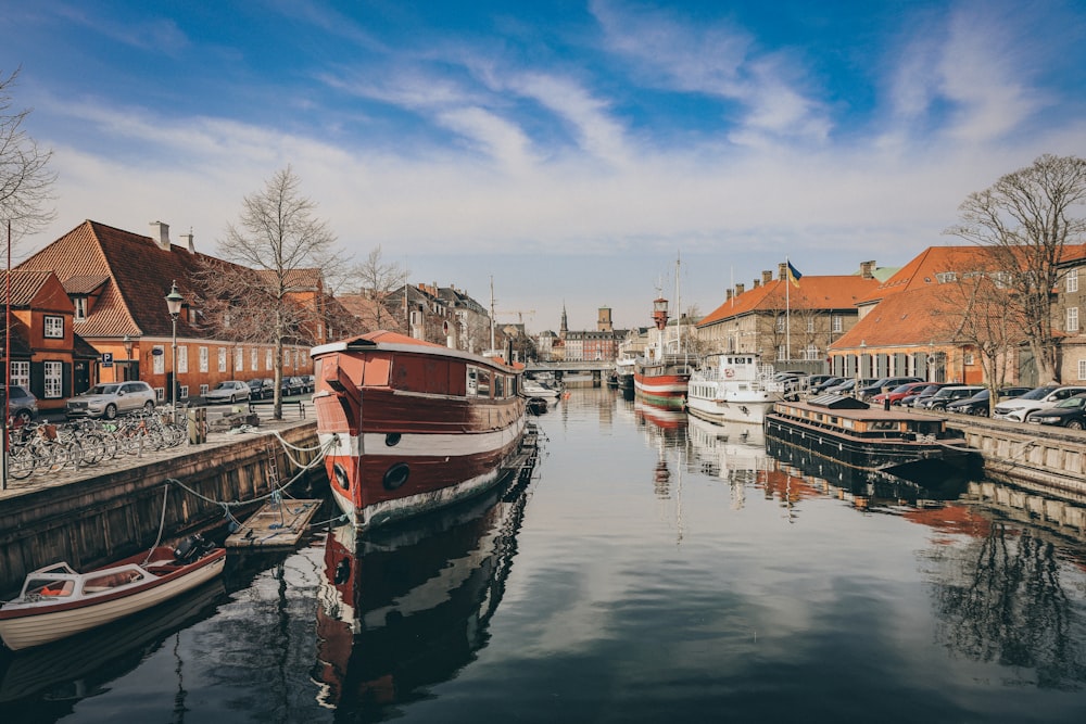 boats docked in a harbor