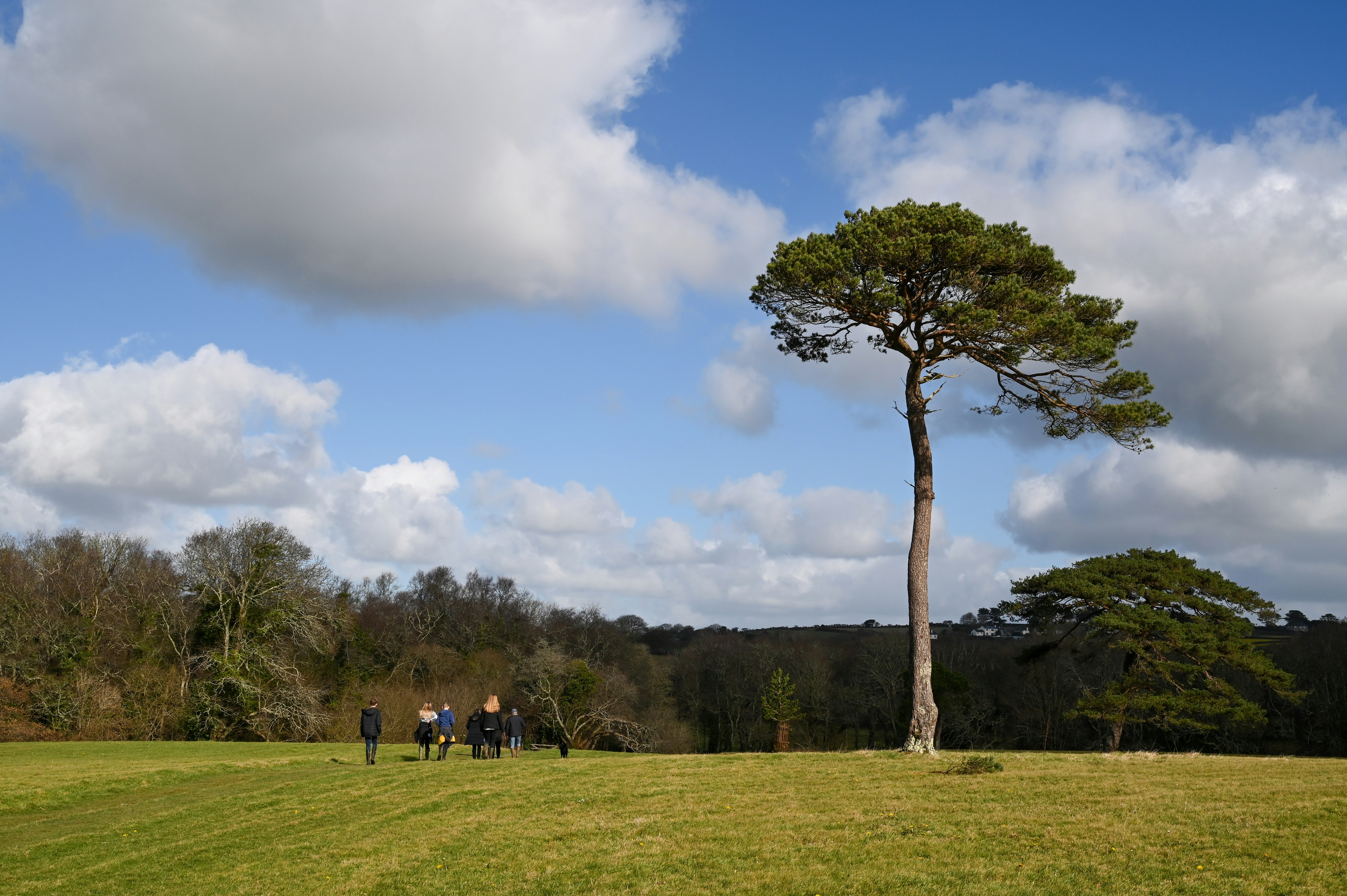 Eine Gruppe von Menschen, die auf einem Feld mit einem Baum im Hintergrund spazieren gehen