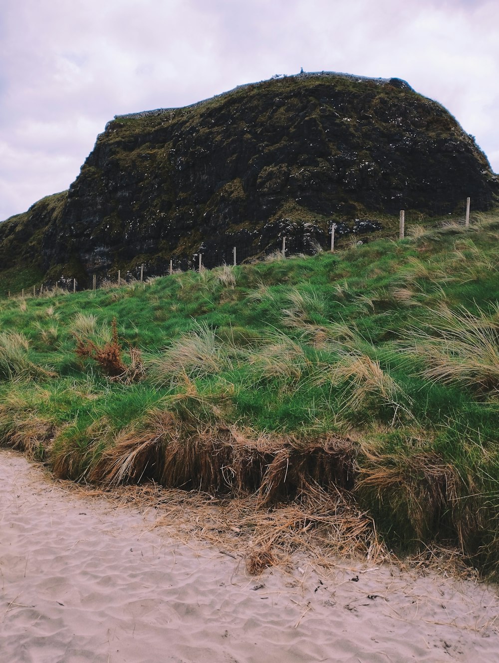 a hill with grass and a fence