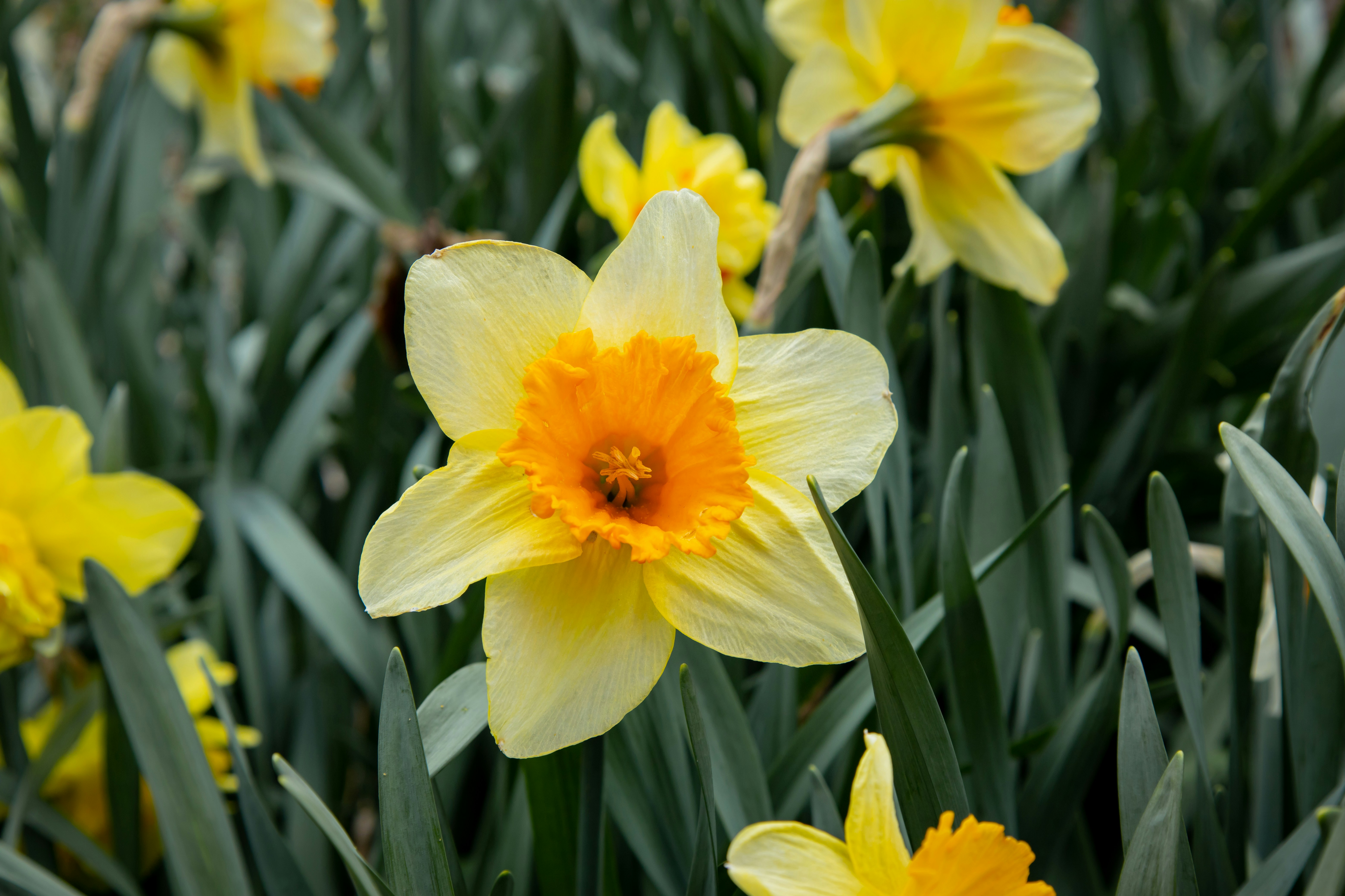 Photo by bonniekdesign