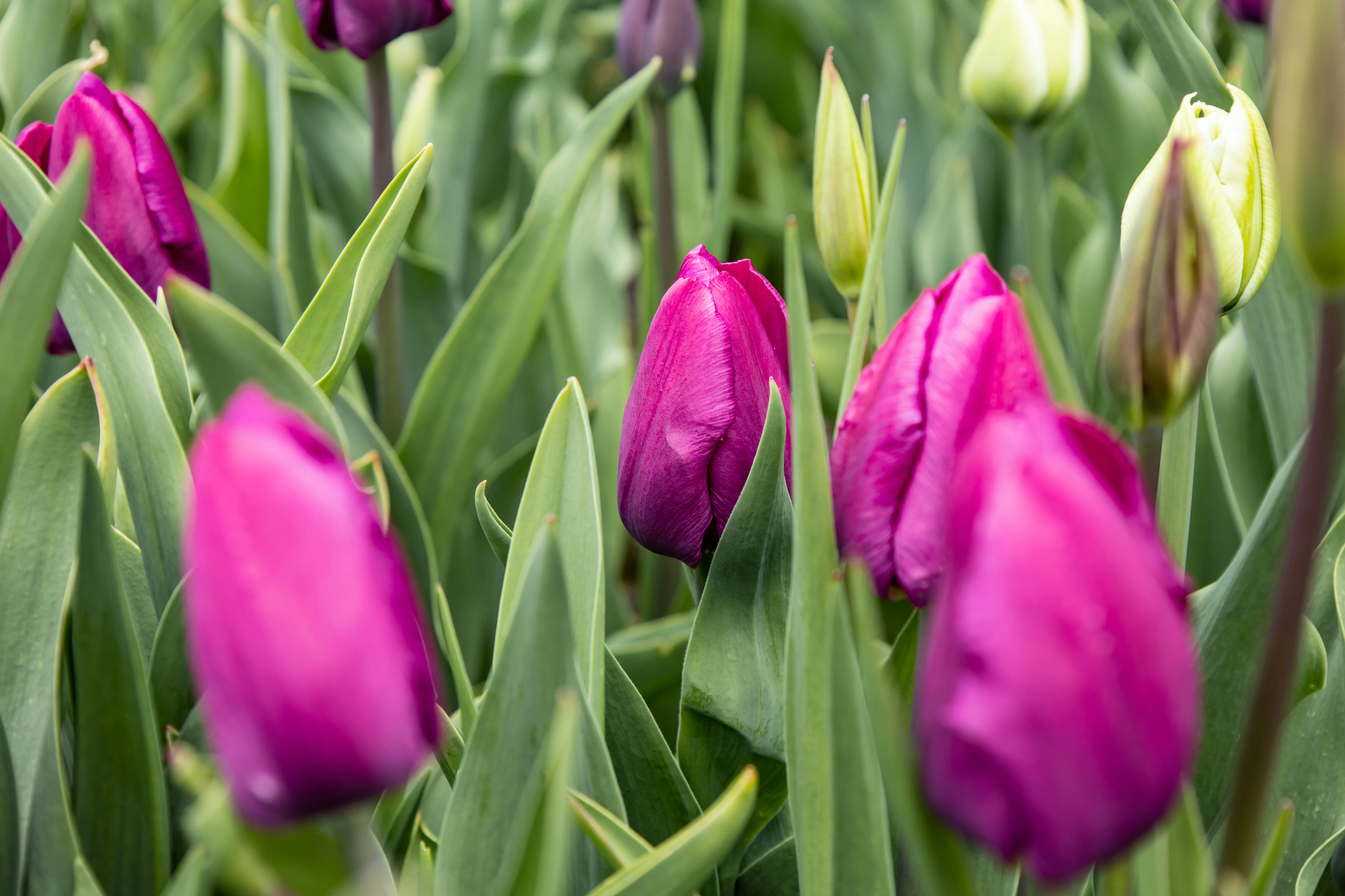 Photo by bonniekdesign