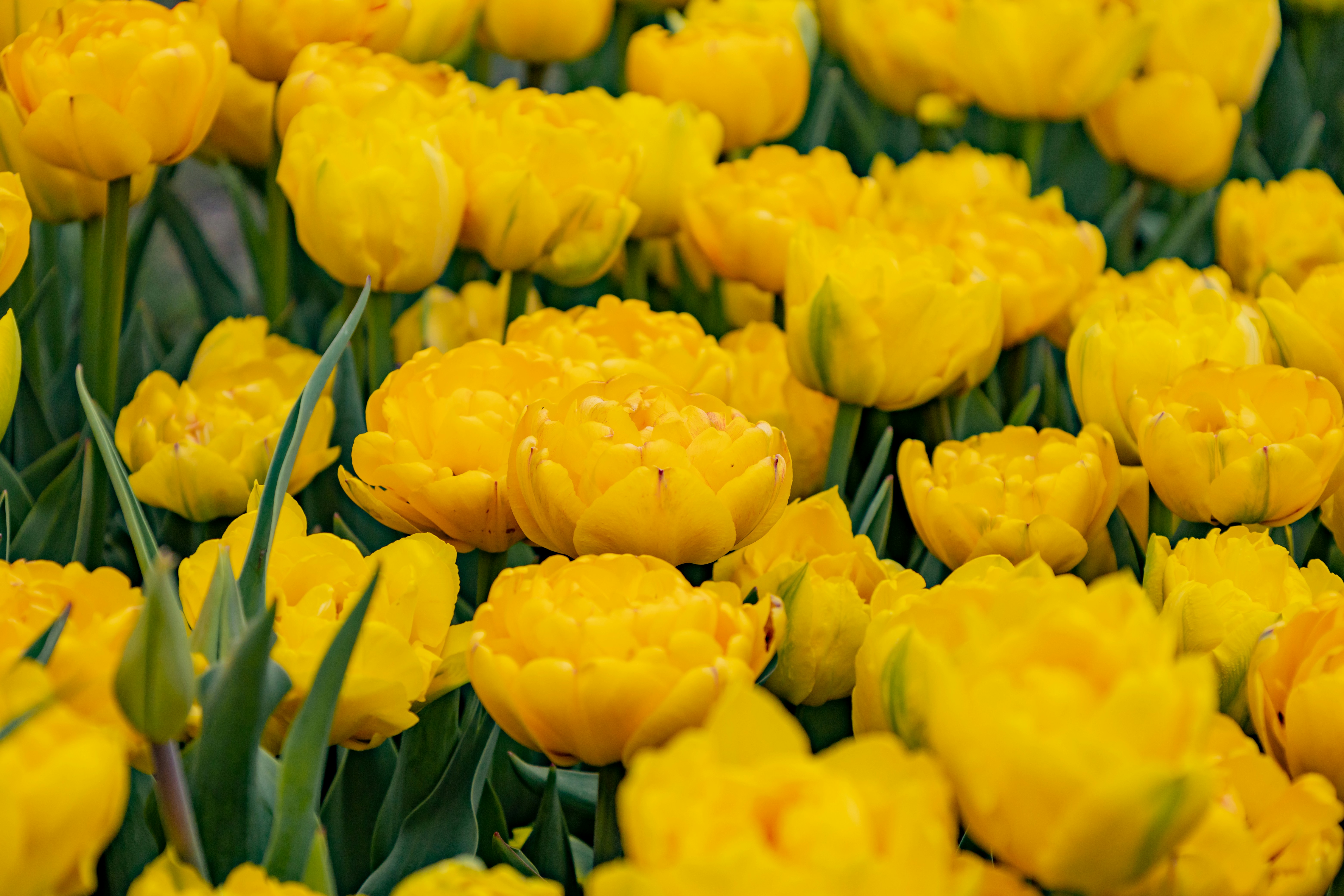 Photo by bonniekdesign