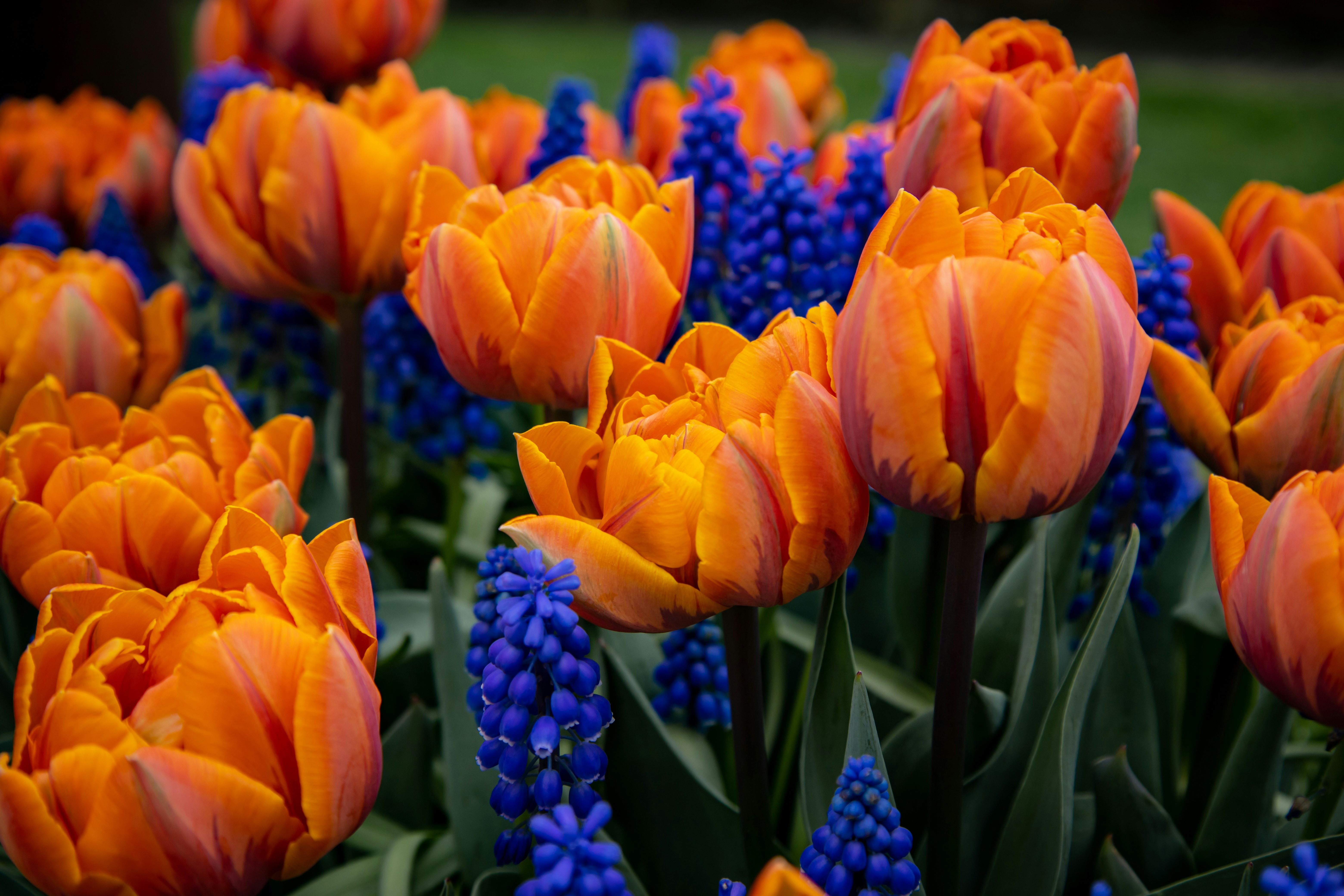 Photo by bonniekdesign