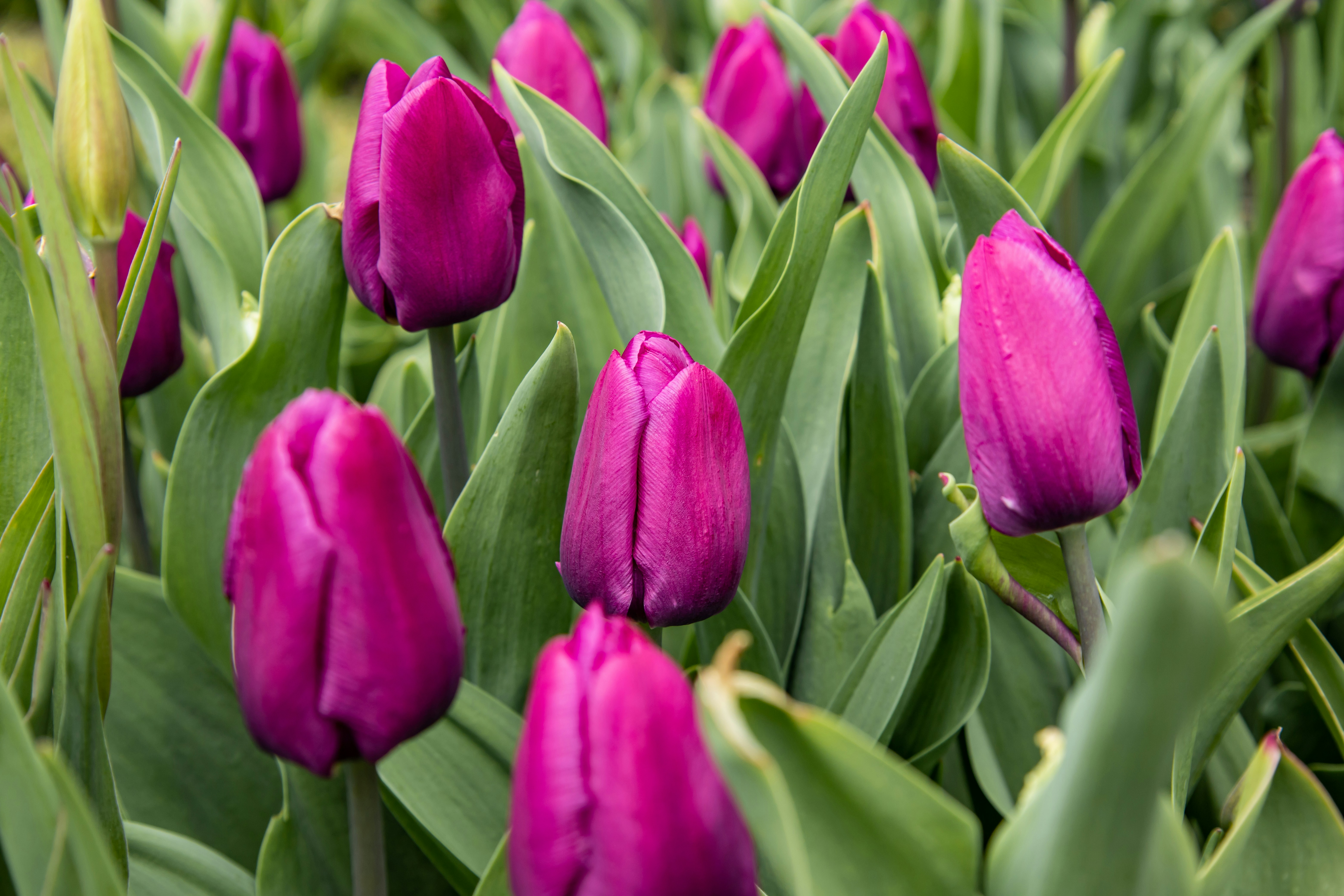 Photo by bonniekdesign