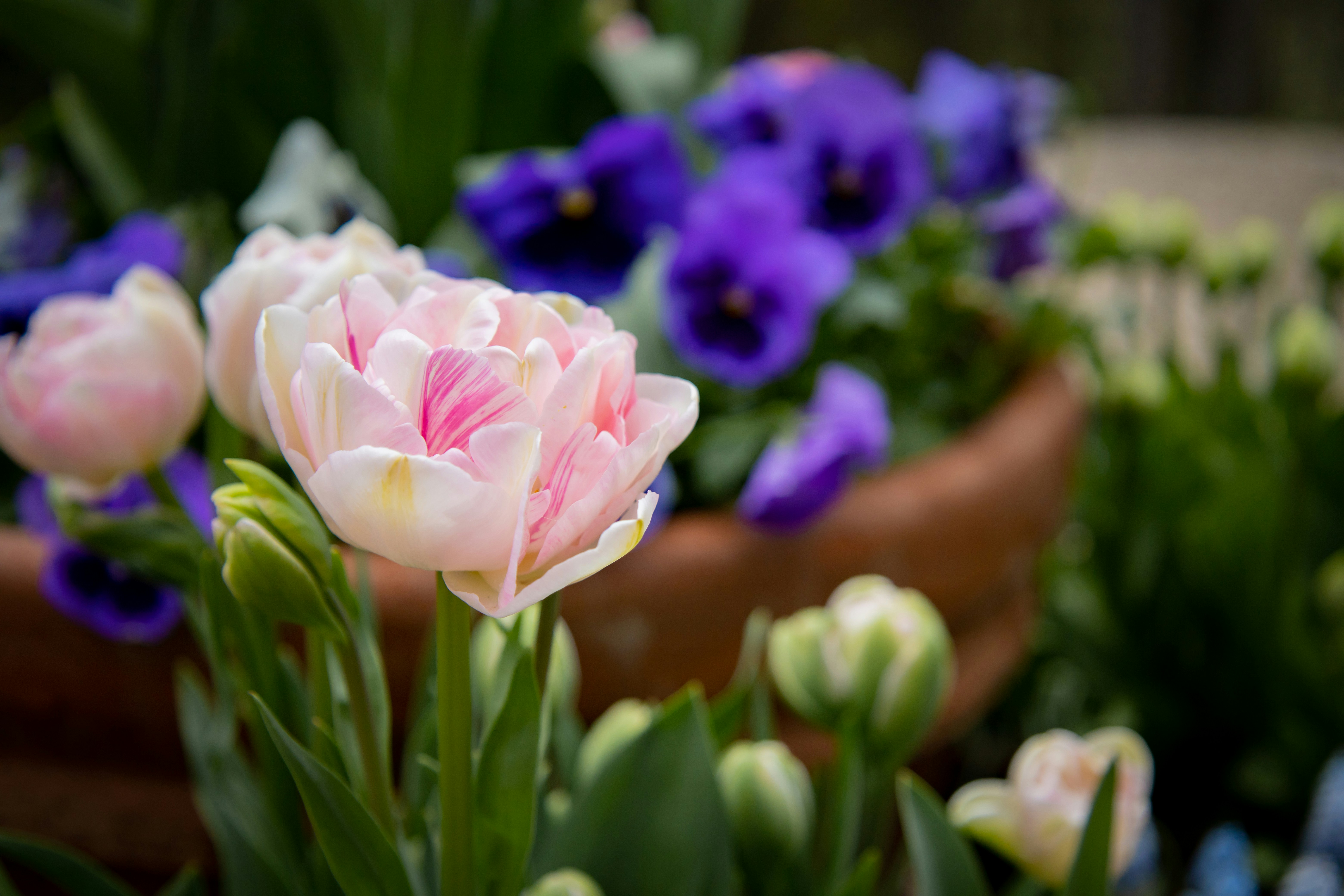 Photo by bonniekdesign