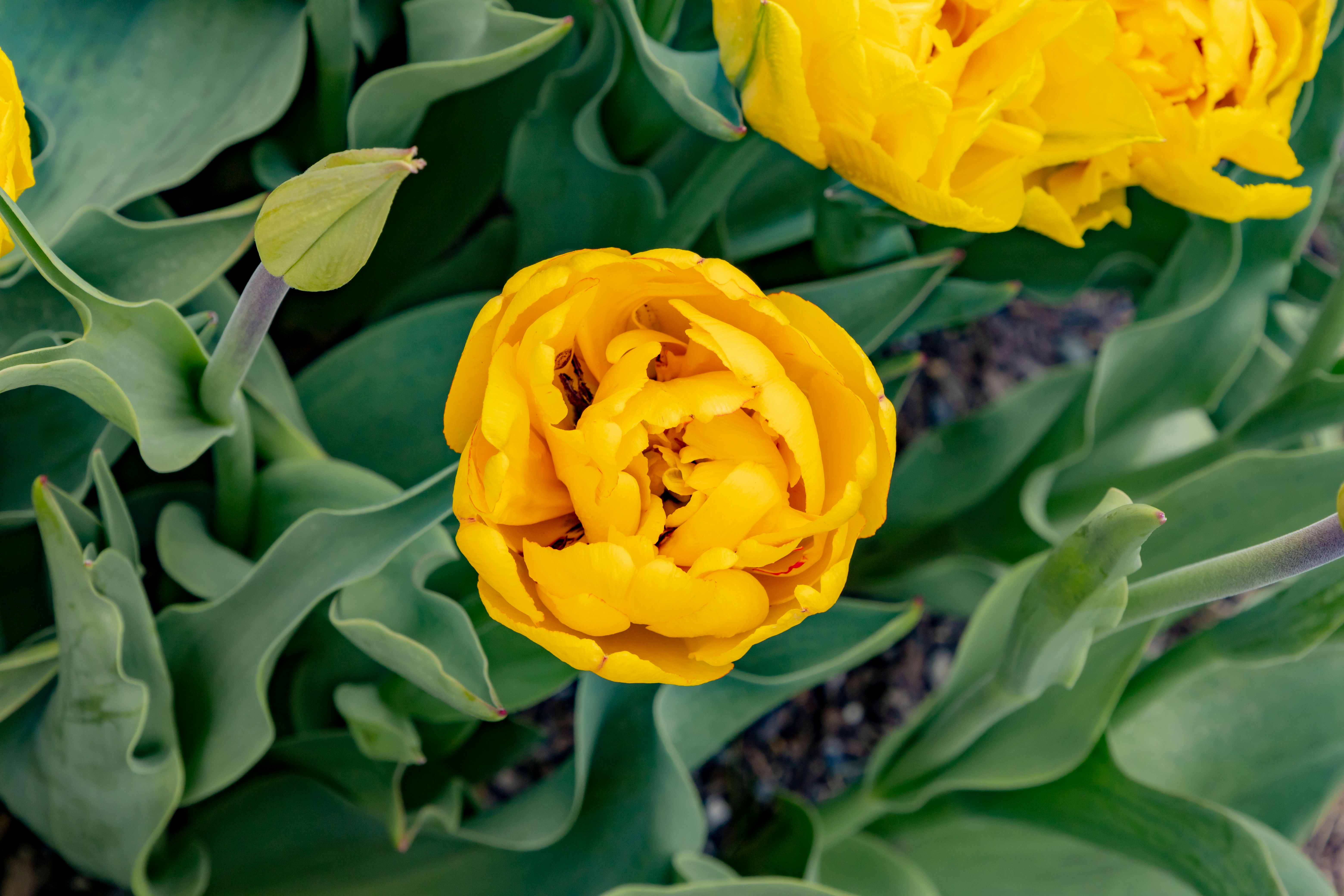 Photo by bonniekdesign