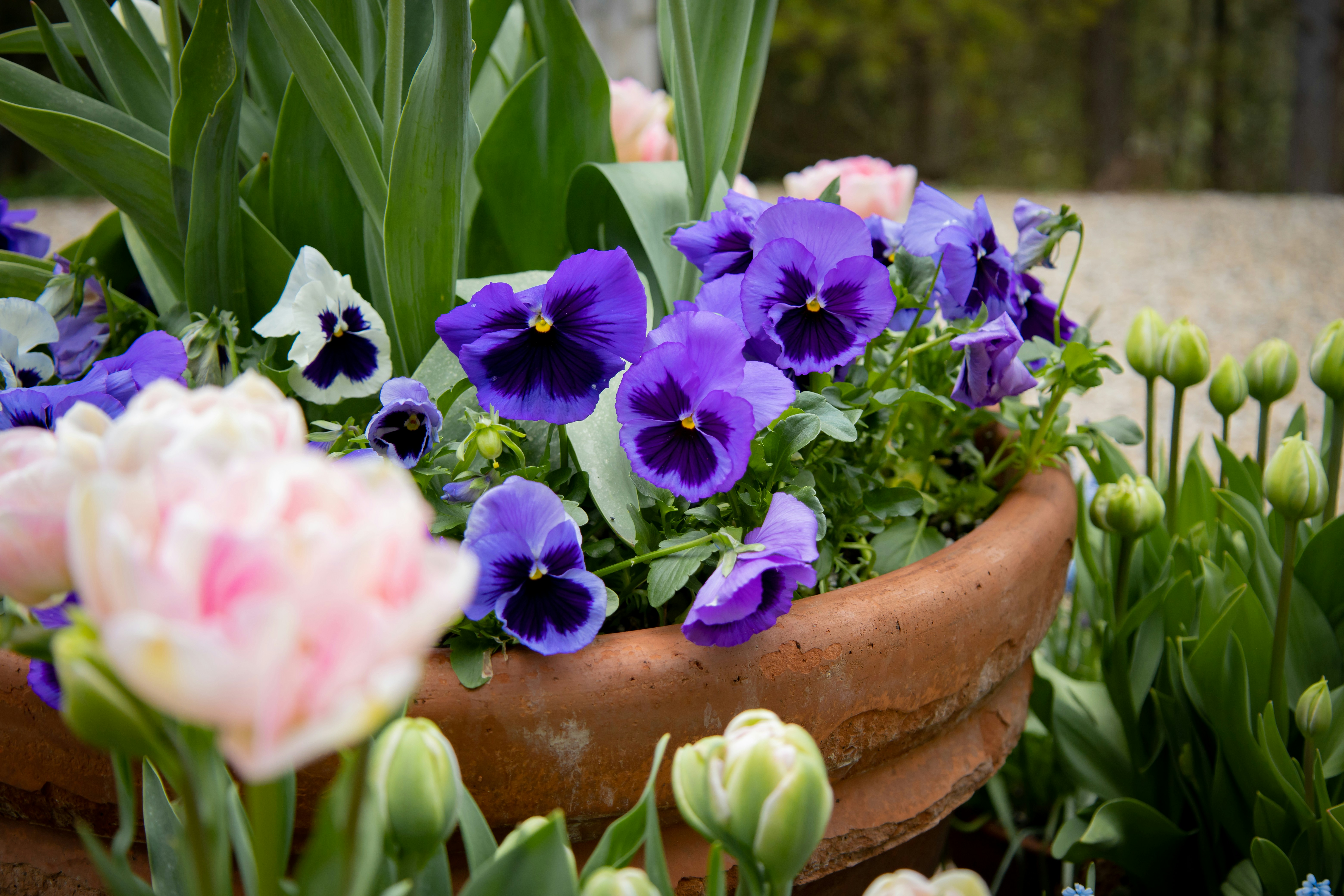 Photo by bonniekdesign