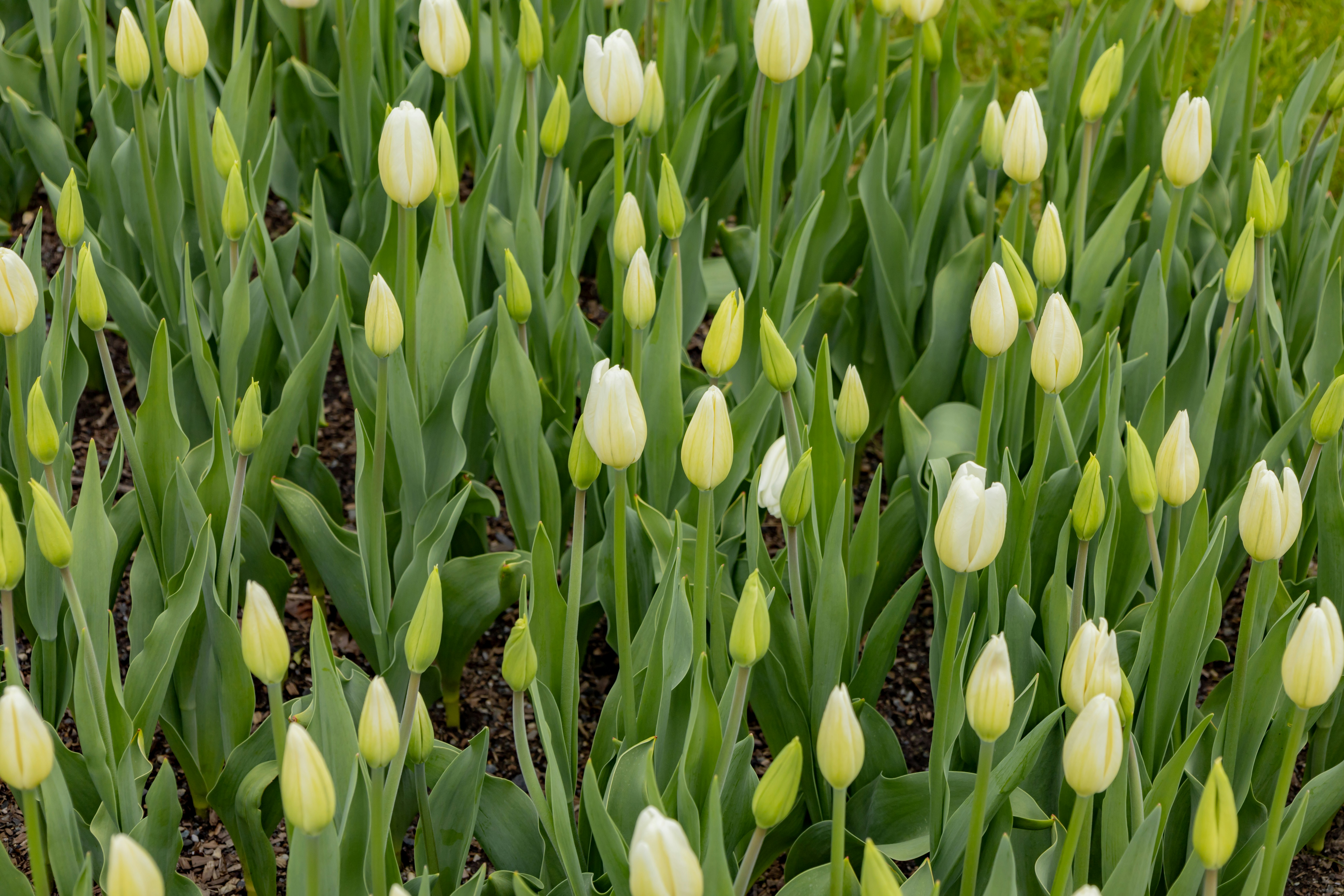 Photo by bonniekdesign