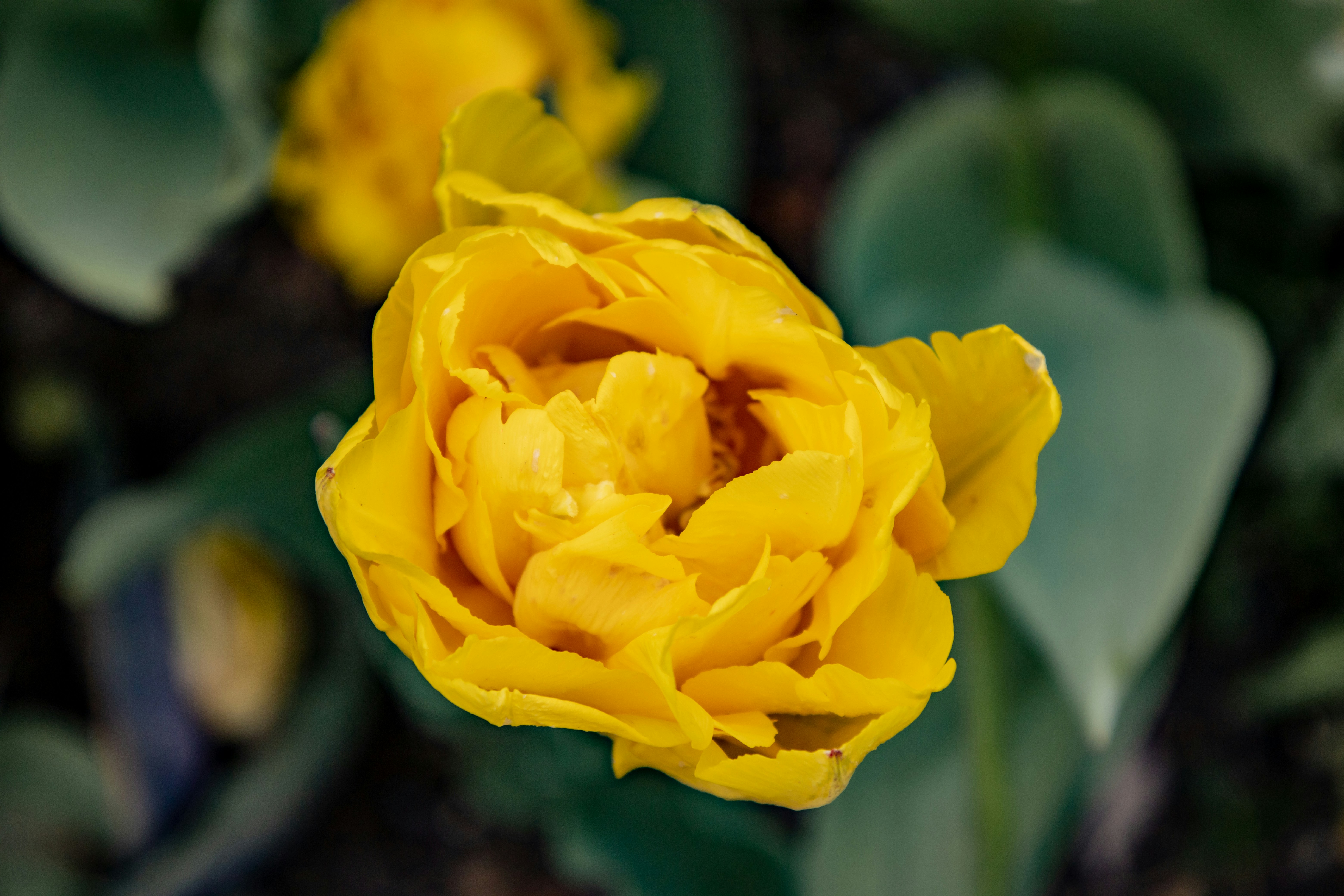 Photo by bonniekdesign