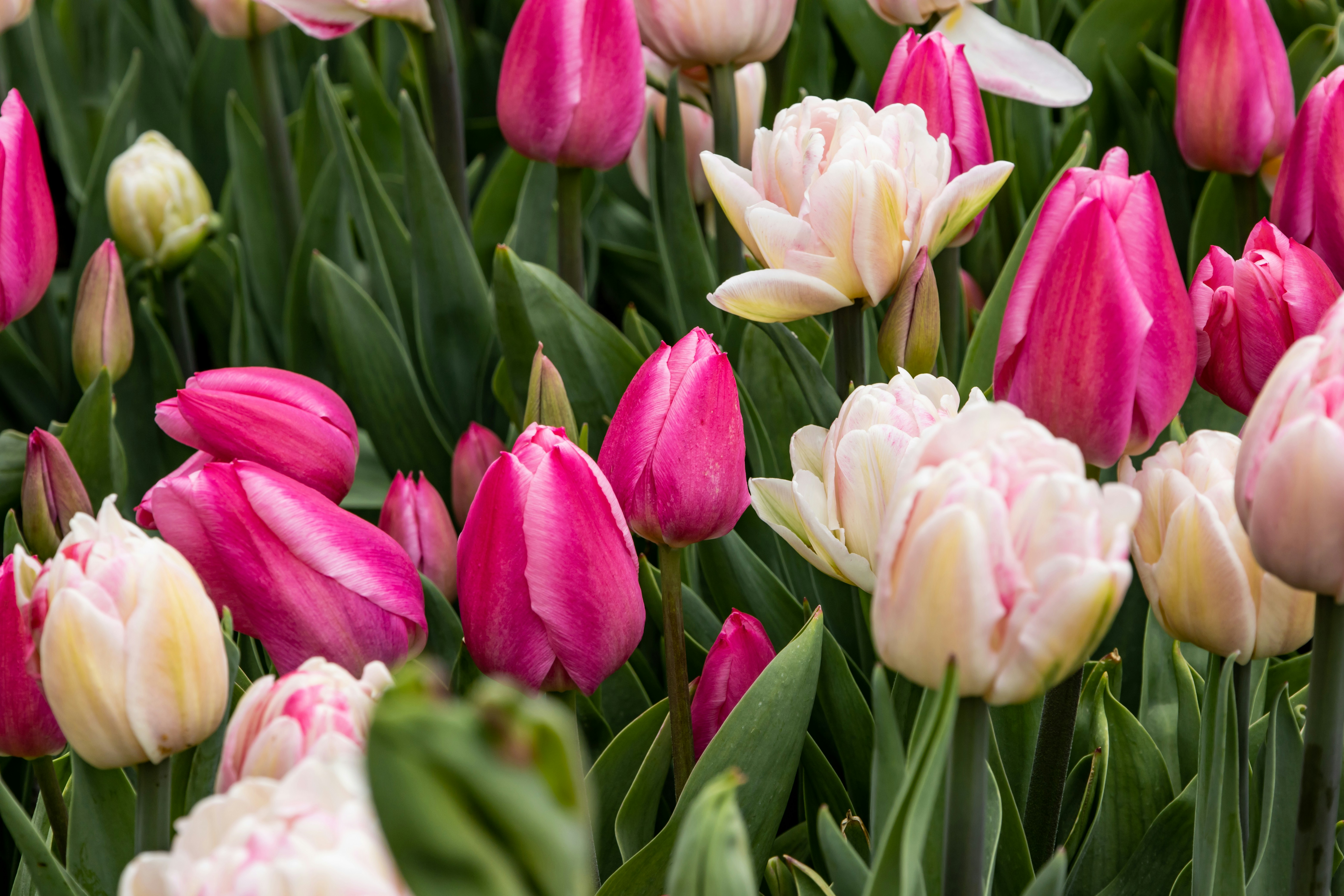 Photo by bonniekdesign