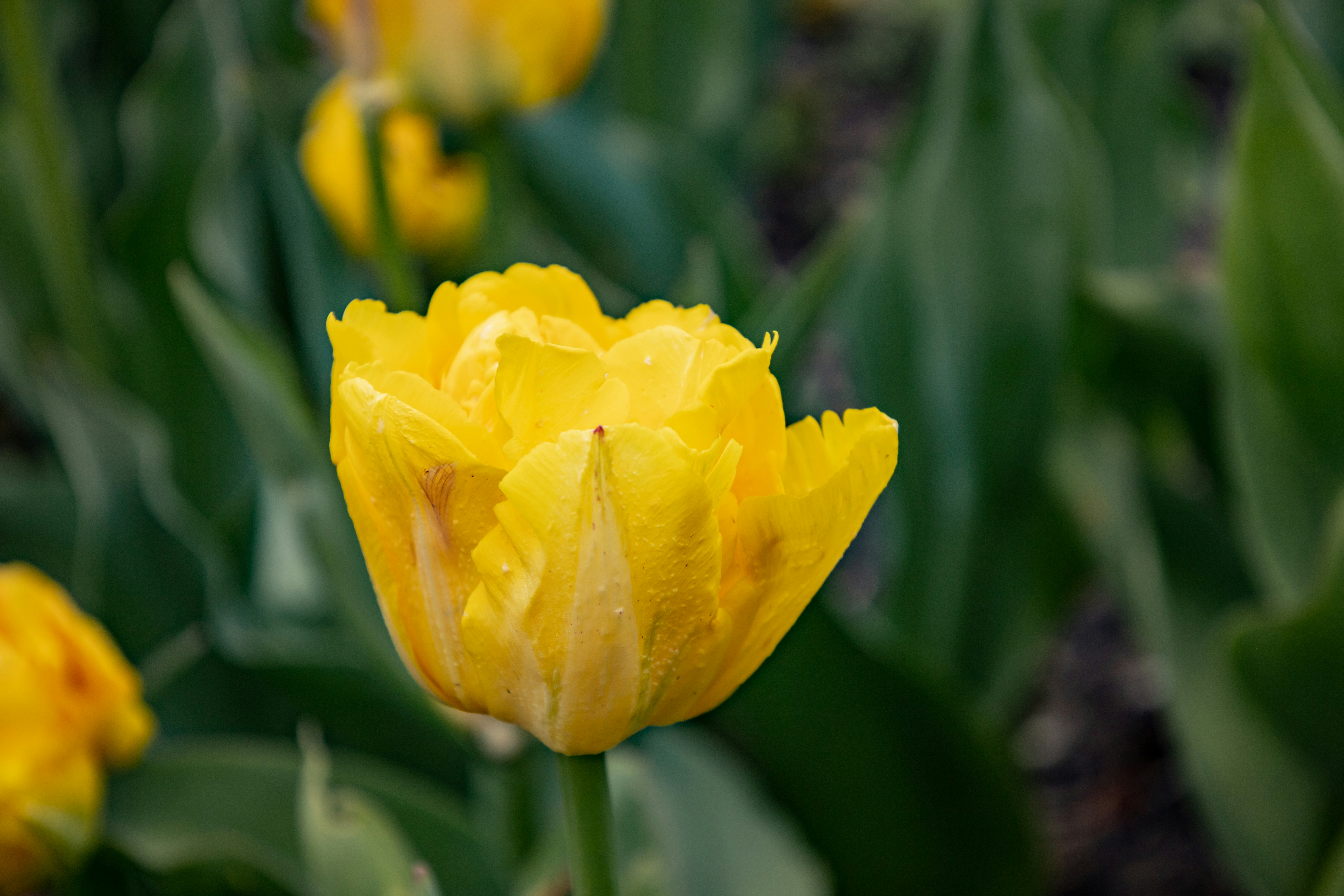 Photo by bonniekdesign