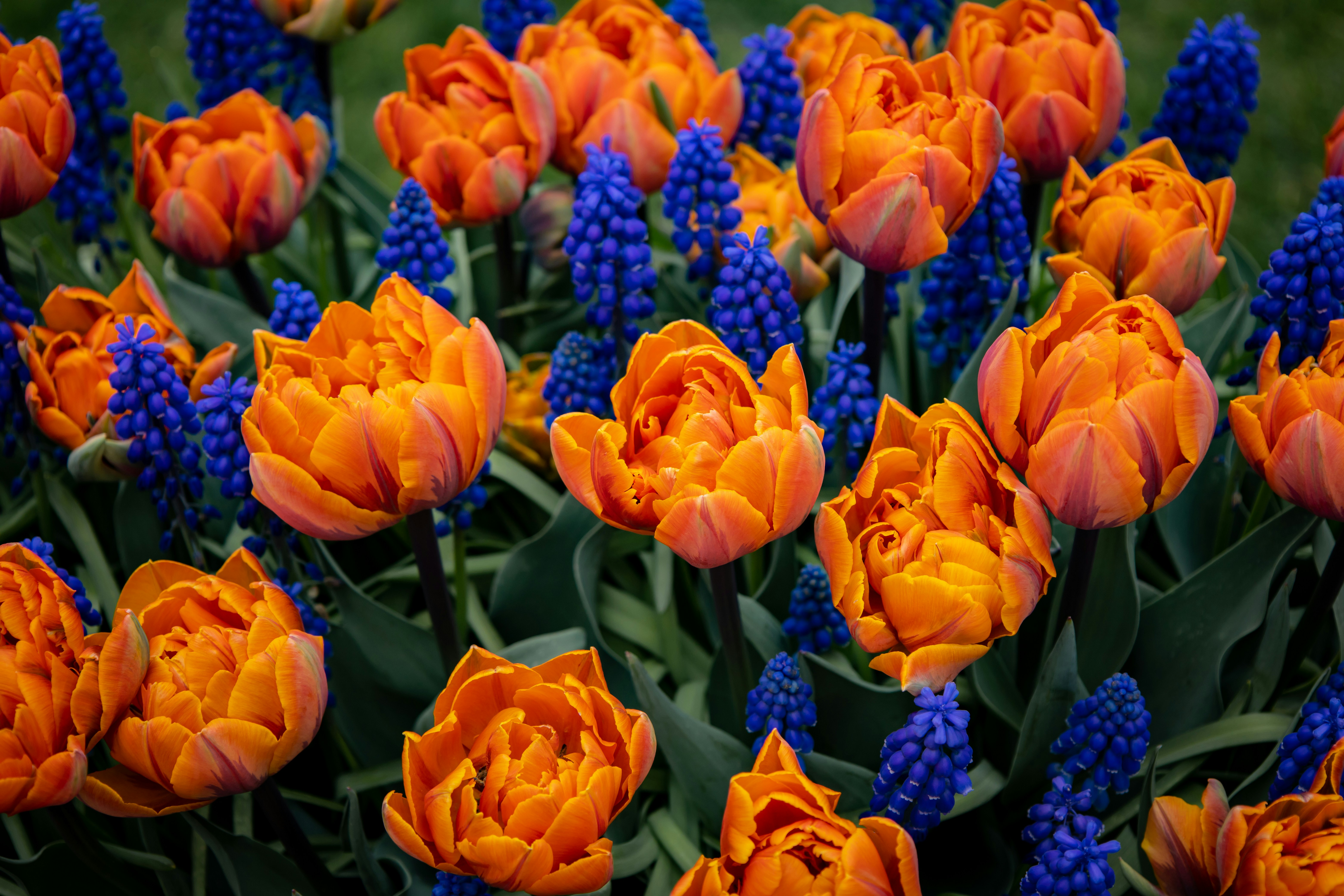 Photo by bonniekdesign