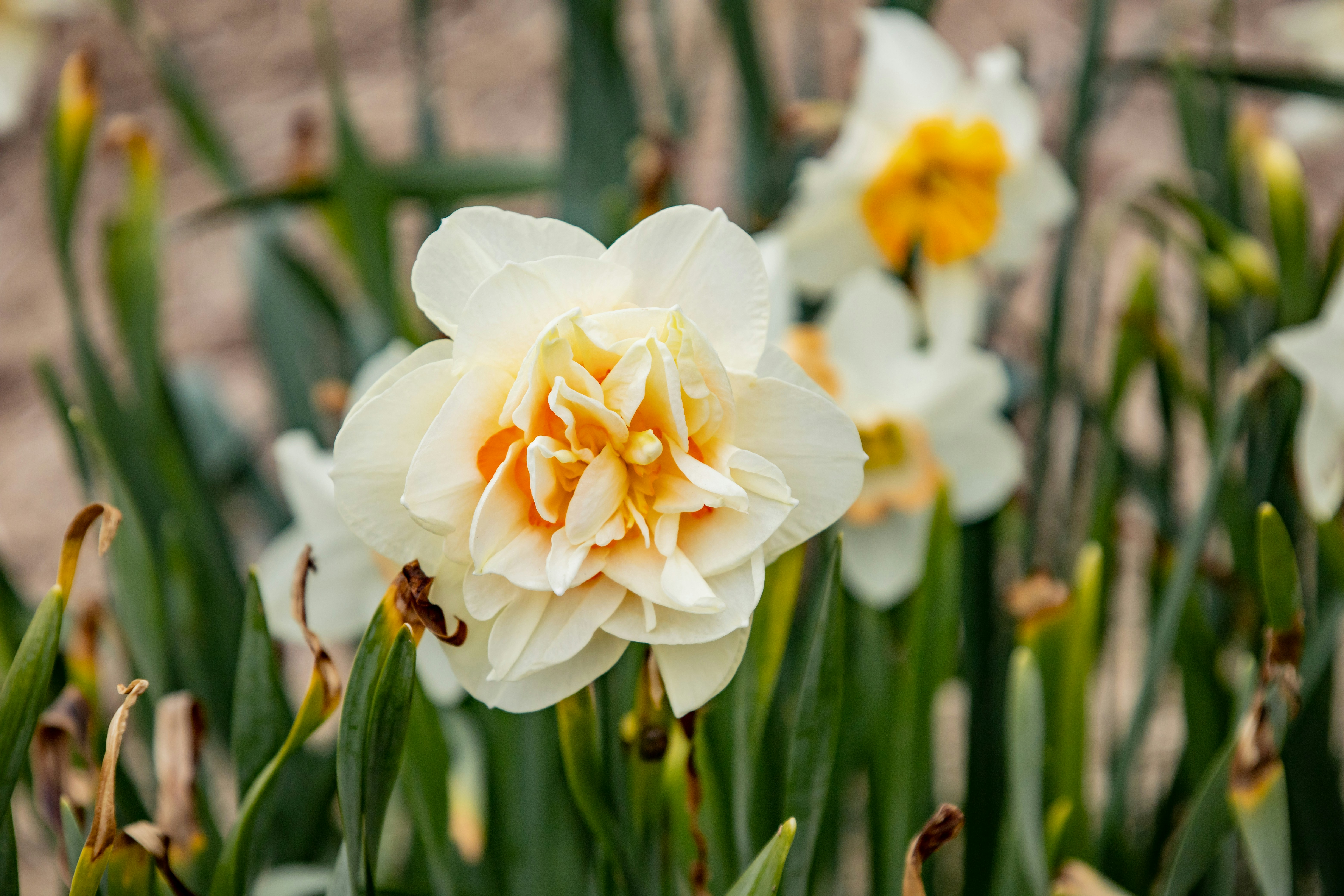 Photo by bonniekdesign