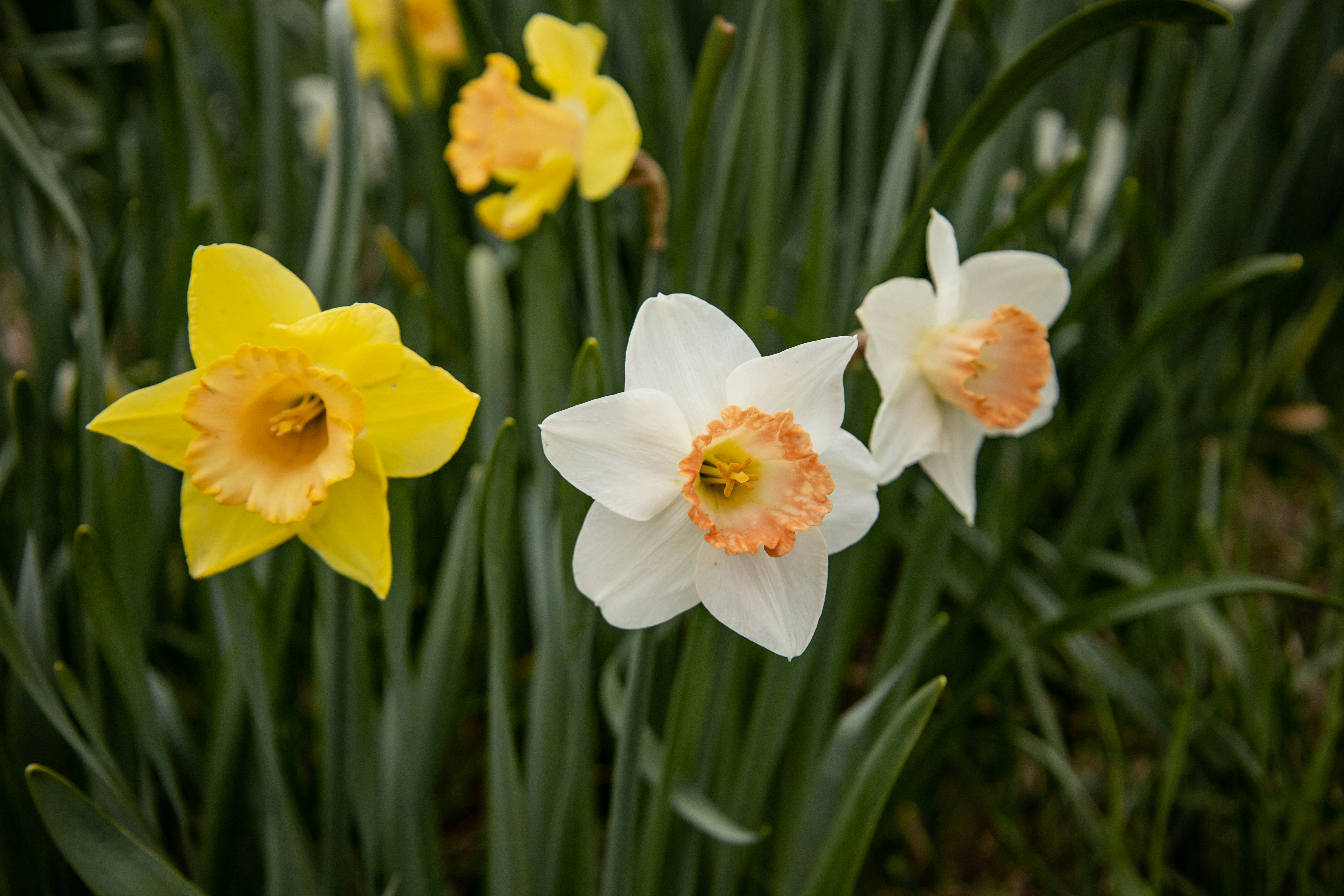 Photo by bonniekdesign