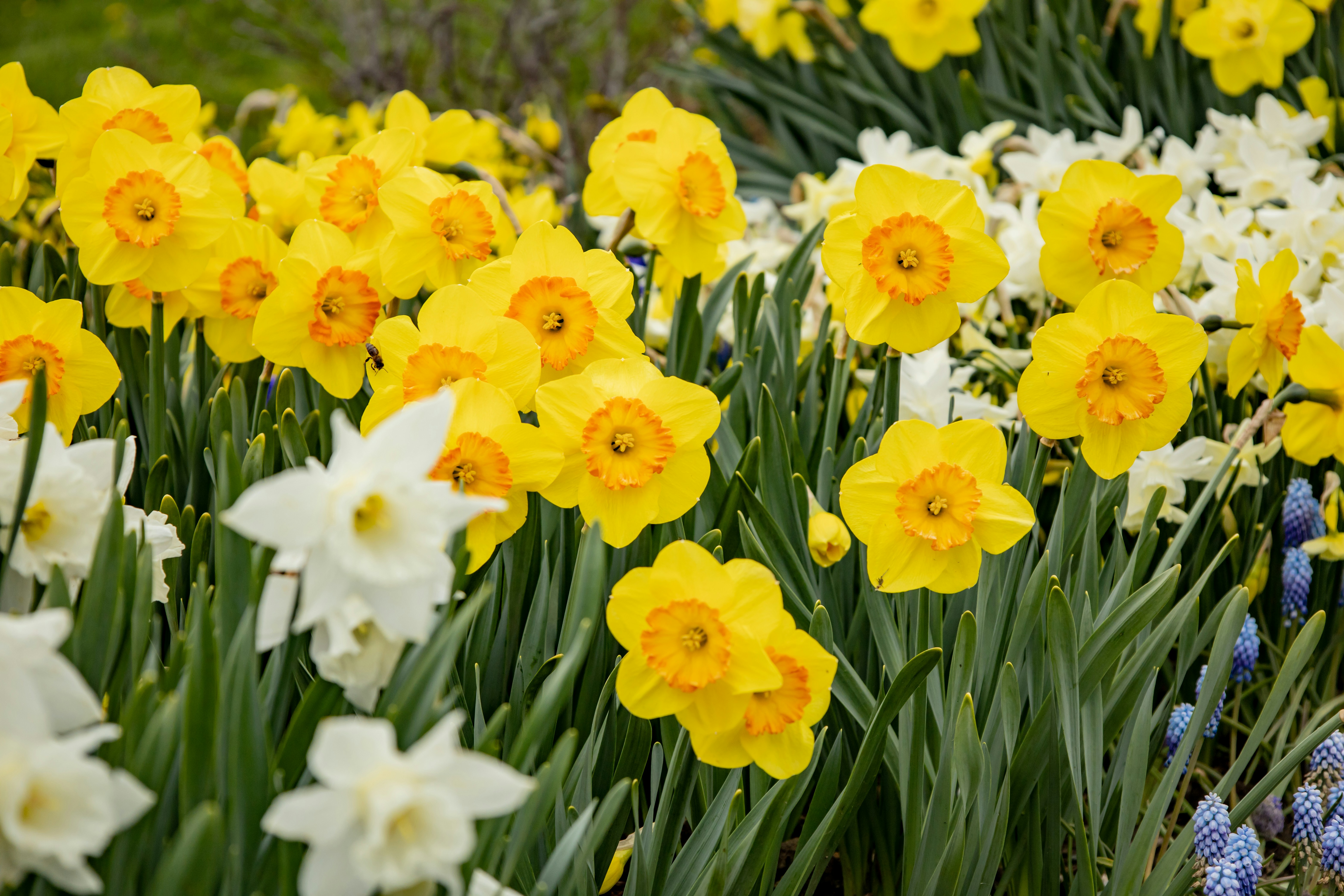 Photo by bonniekdesign