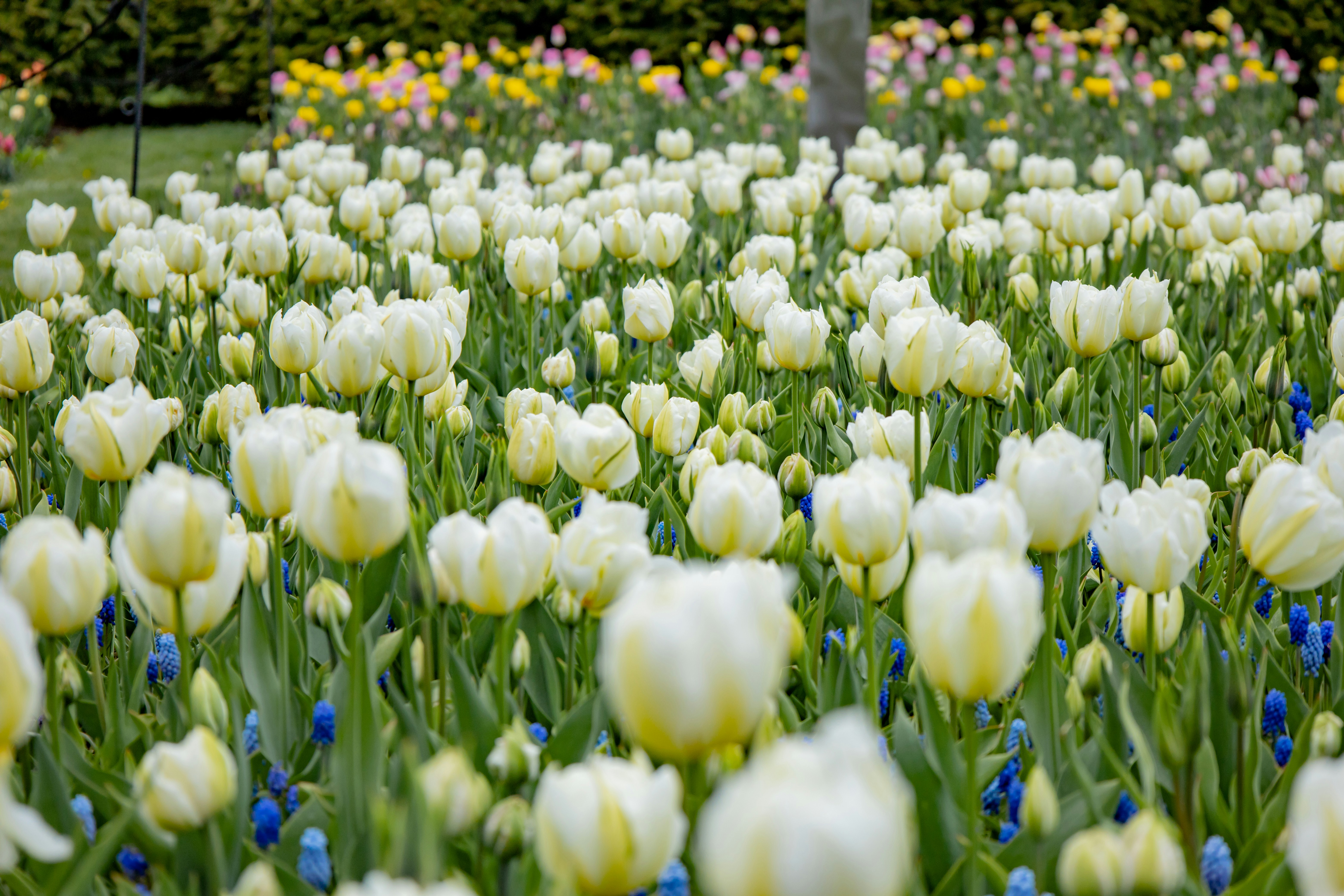 Photo by bonniekdesign