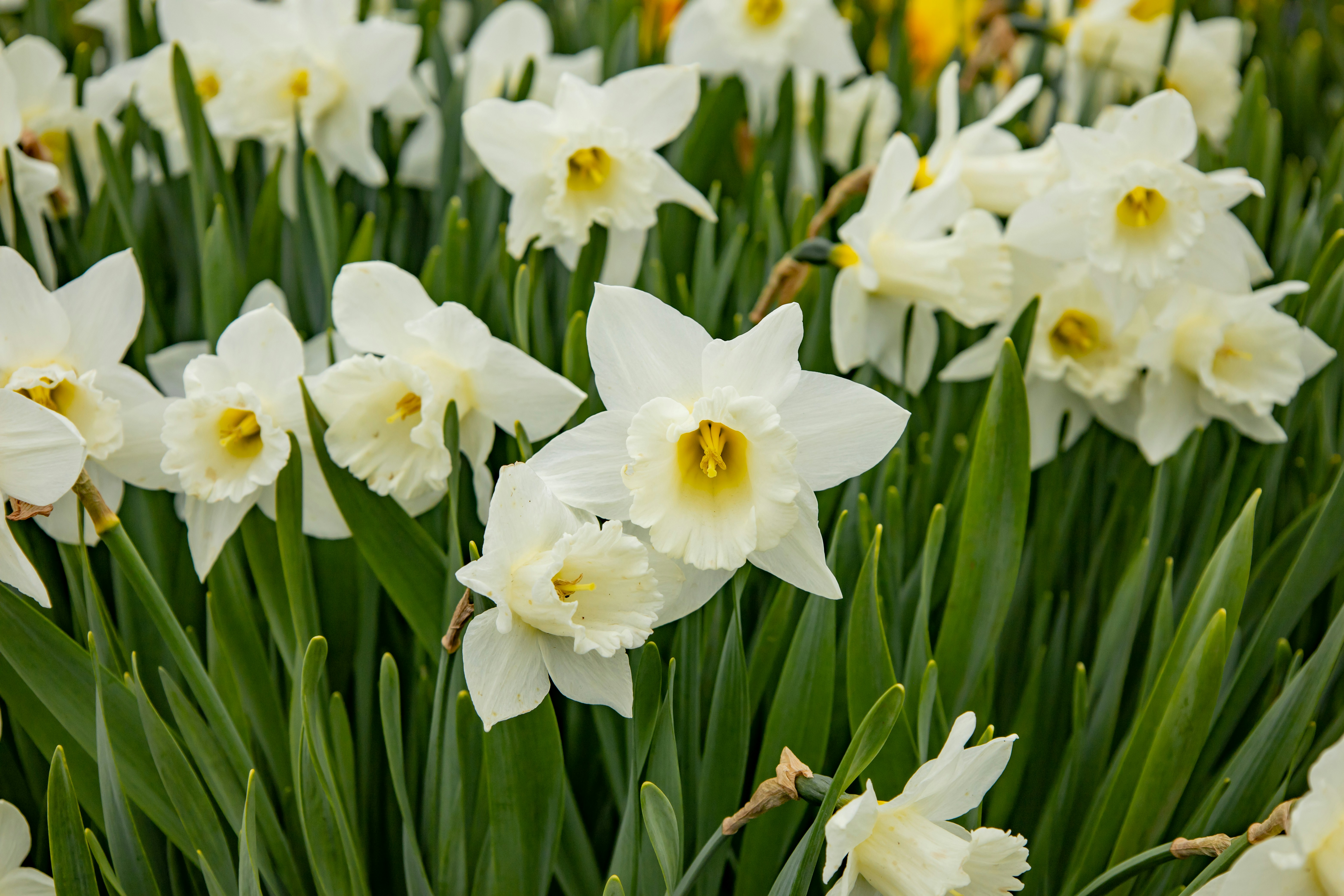 Photo by bonniekdesign