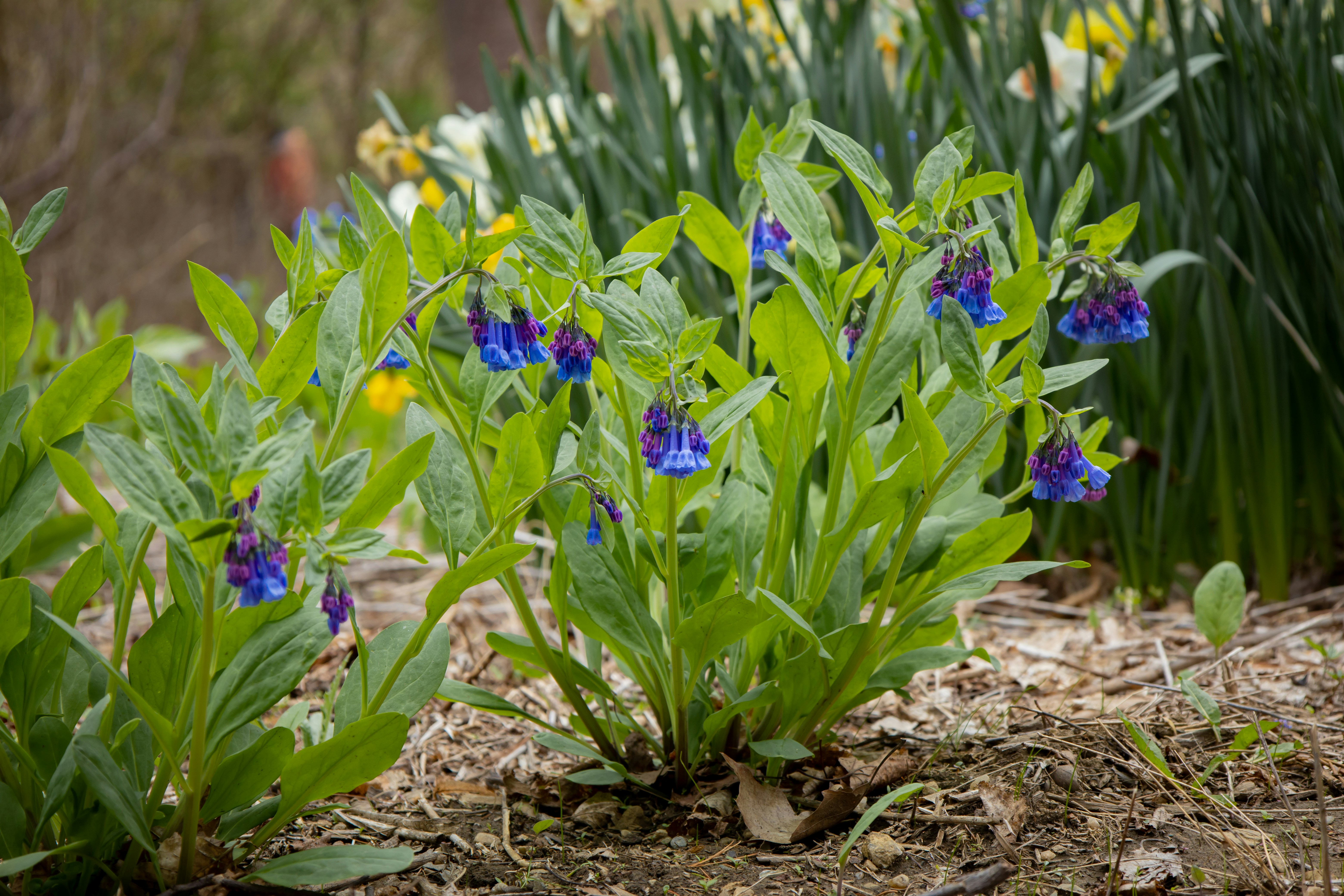 Photo by bonniekdesign