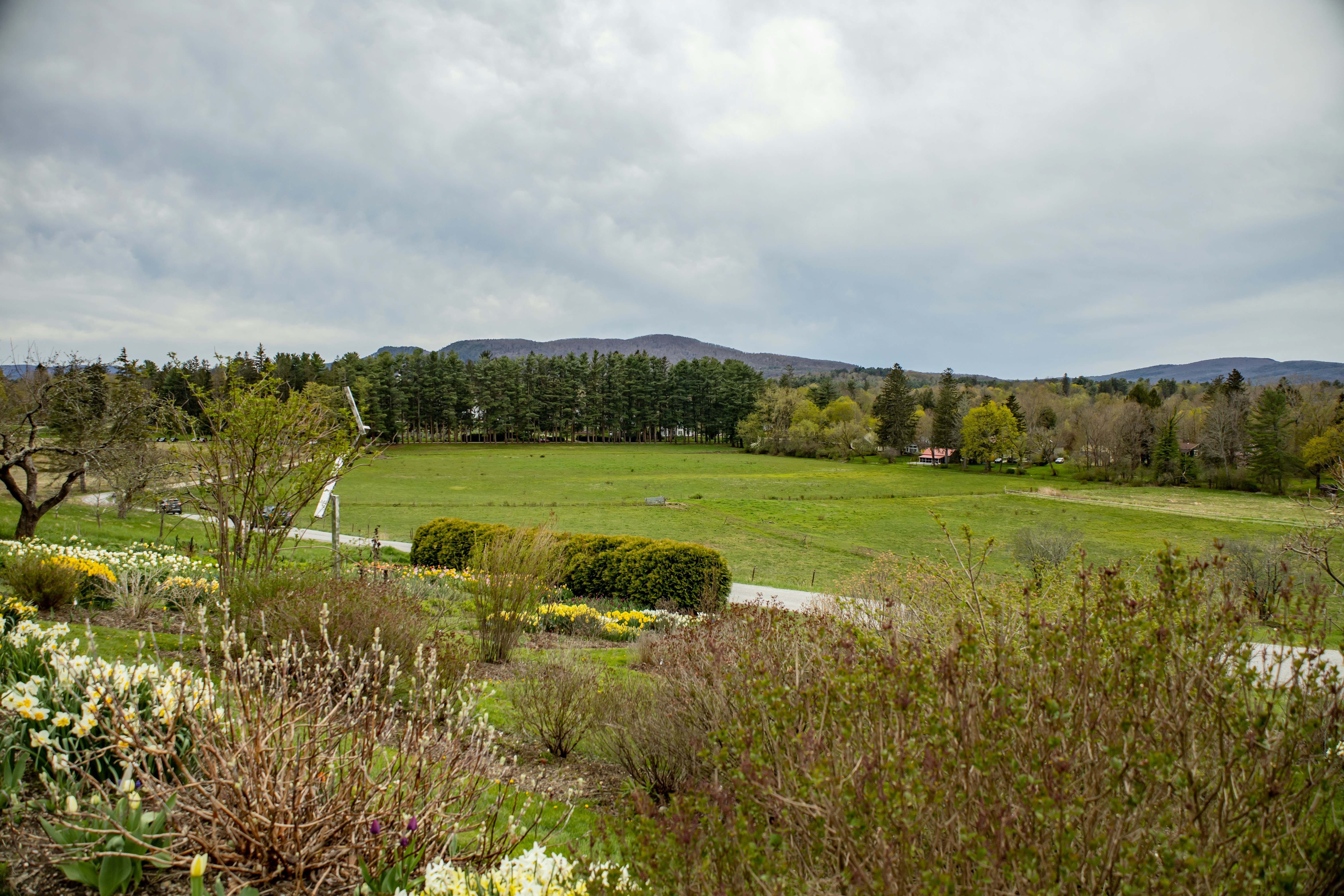 Photo by bonniekdesign