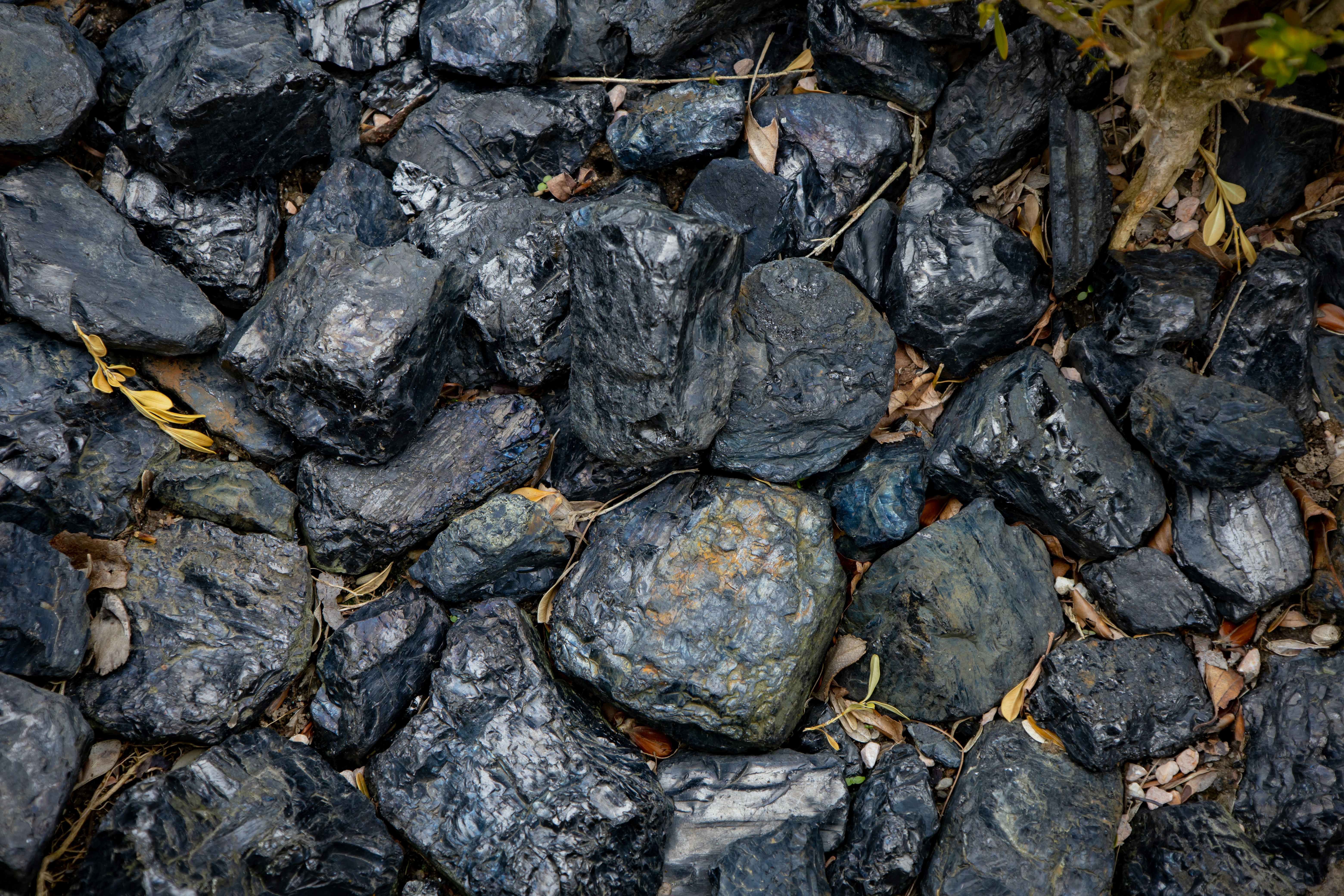 Photo by bonniekdesign