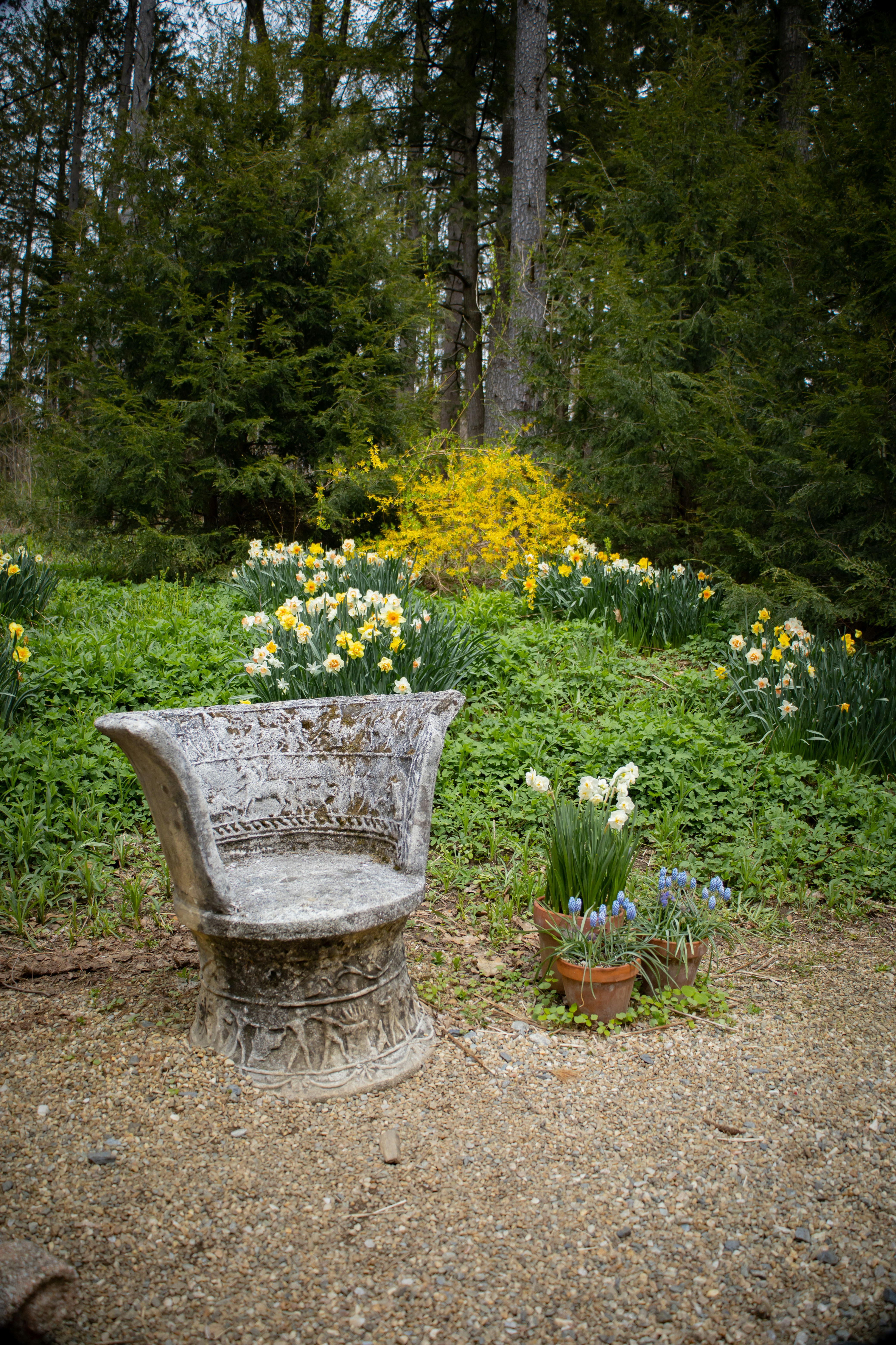 Photo by bonniekdesign