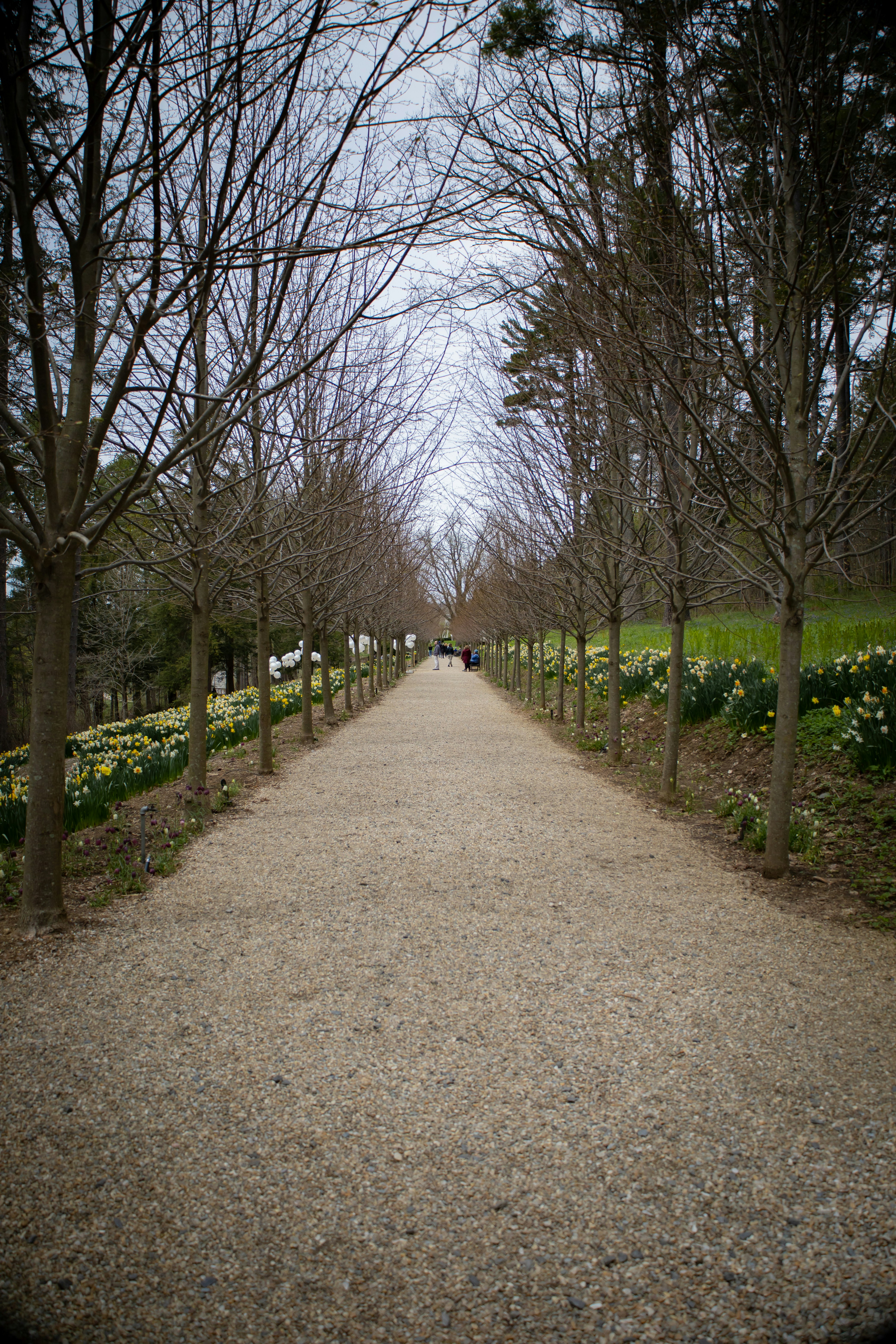 Photo by bonniekdesign